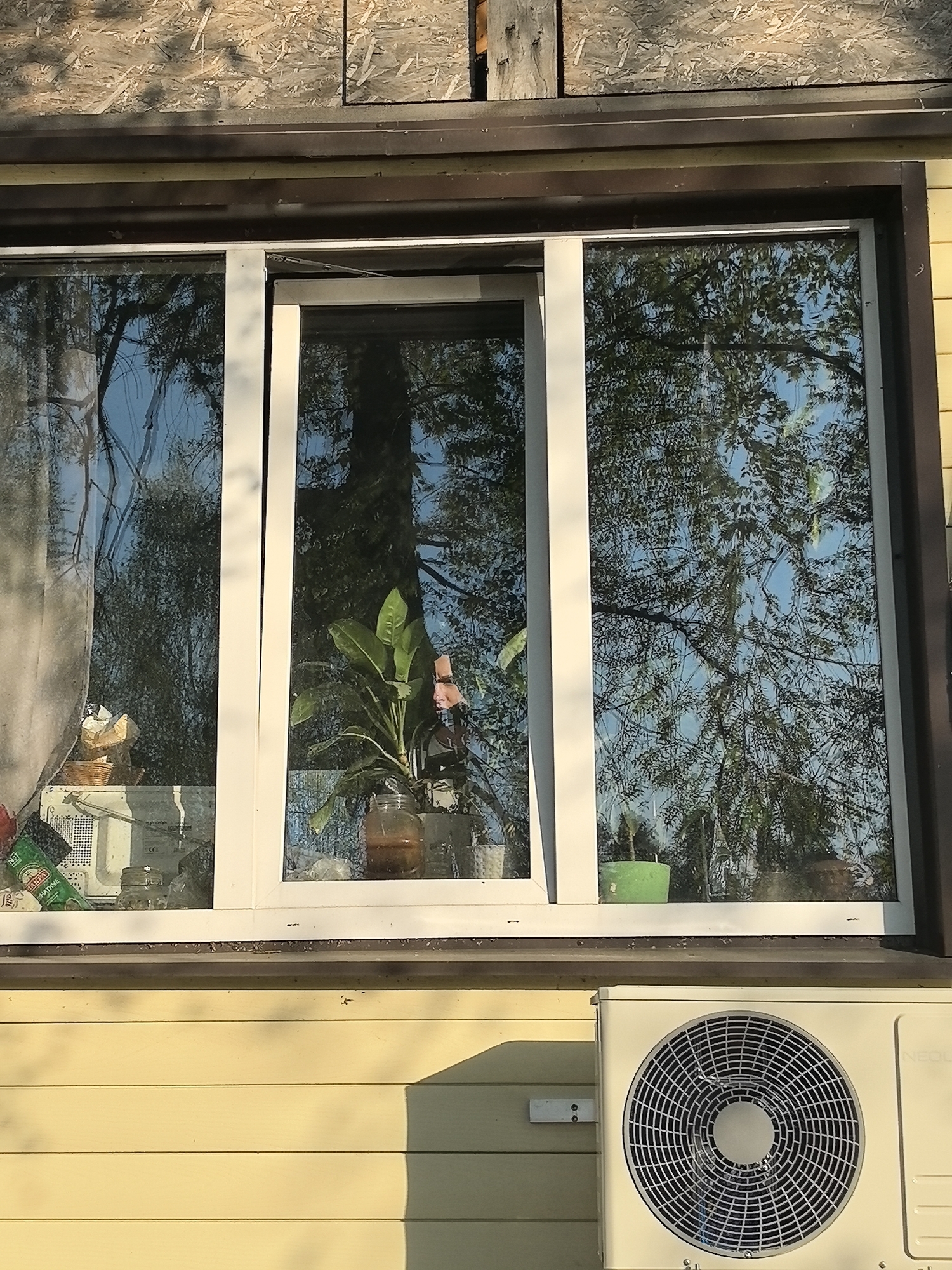 A close-up shot shows a three-paneled window on a yellow-sided building. An air conditioning unit is mounted below the window. The window reflects trees and the sky. Plants are placed on the window sill inside. Visible through the central pane, a person's face is partially visible, suggesting they are inside the building. Debris is scattered on the window sill. The building's siding is horizontal. The top of the frame reveals unfinished wood paneling. The image was taken during daylight hours. The city of Noviy, Russia, is mentioned as the location.