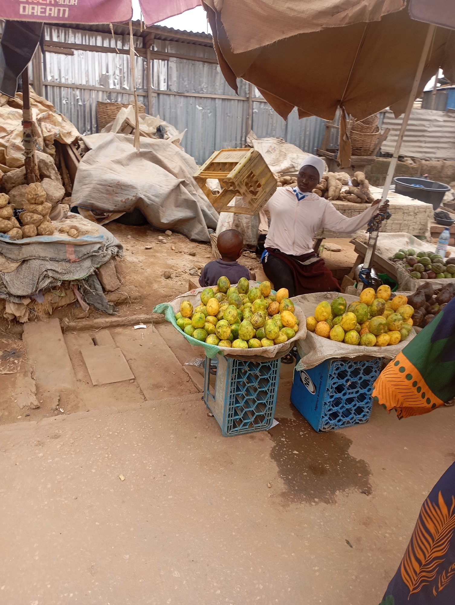 This image captures an outdoor market scene, likely in West Africa given the visible text. In the foreground, a woman, wearing a light-colored long-sleeved top and a head covering, sits behind a market stall. She holds the pole of a large, weathered brown umbrella, which provides shade. A young child is seated on the ground in front of her, facing away from the camera.
The primary goods on display are numerous piles of green and yellow mangoes, arranged in round basins that rest on blue plastic crates. Behind the woman, more produce is visible, including mounds of yams or similar root vegetables, and possibly avocados in a separate container. A yellow plastic crate is held up near the woman. The ground is uneven, composed of packed dirt and some concrete sections, with puddles suggesting recent moisture or spillage.
In the background, structures made of corrugated metal sheets form the backdrop, and various sacks and tarps cover additional goods, indicating a bustling and active market environment. A plastic water bottle stands on a small shelf behind the mangoes. On one of the blue plastic crates, the text "Nigerian Breweries Plc" is legible. Above, a torn part of an umbrella or canopy shows the words "...YOUR DREAM". The scene is illuminated by natural daylight, with the umbrellas serving as sun protection. The overall impression is one of daily commerce in a vibrant, open-air market.