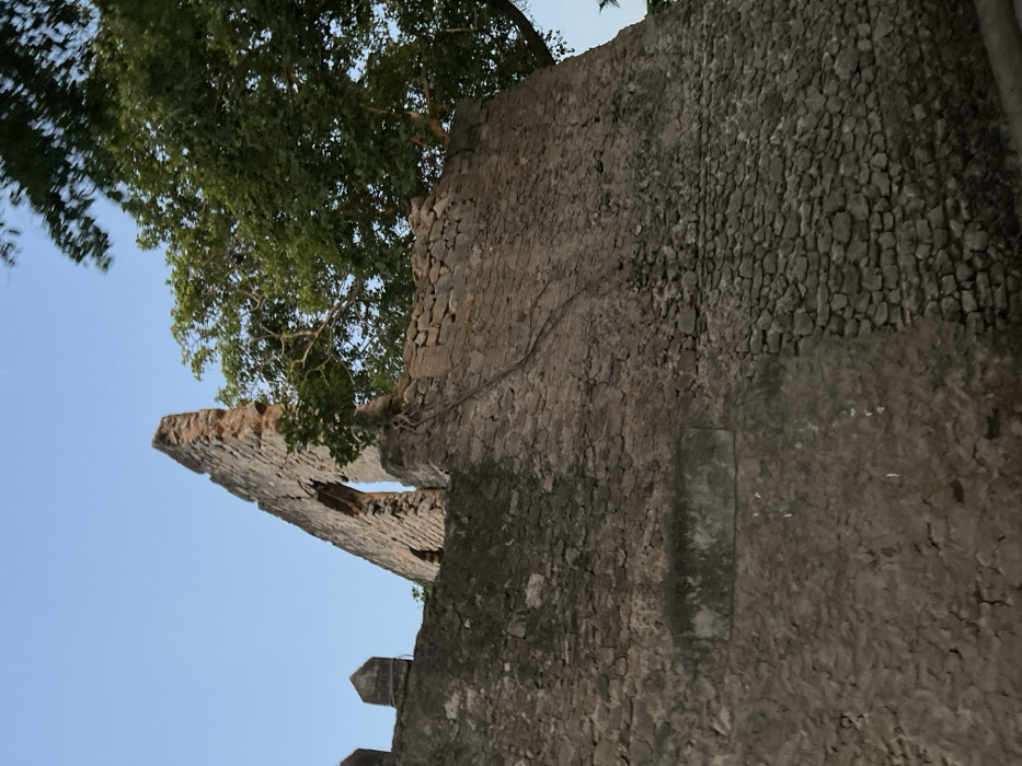 The image displays an ancient stone wall or ruin, likely part of a historical structure in Bagamoyo, Tanzania, with lush greenery and a clear sky. The photo is oriented vertically when viewed upright, but is originally rotated 90 degrees clockwise.
The central subject is a substantial wall constructed from rough, dark-grey stones. The stonework is irregular, showing variations in size and pattern, suggesting age and possibly different construction or repair phases. Some sections of the wall appear to have a more uniform, tightly packed stone texture. The wall features remnants of battlements or crenellations along its top edge in the foreground, indicative of defensive architecture. Further along, a section of the wall is broken and crumbling, creating a jagged silhouette against the sky.
A large, vibrant green tree with dense foliage is prominently featured, growing alongside and partially over the wall. Its roots are visibly integrated into the stone structure, emphasizing the natural erosion and reclamation over time. The sky is a clear, light blue, suggesting daytime and fair weather conditions. No human activity or specific events are depicted. There is no discernible text visible in the image.