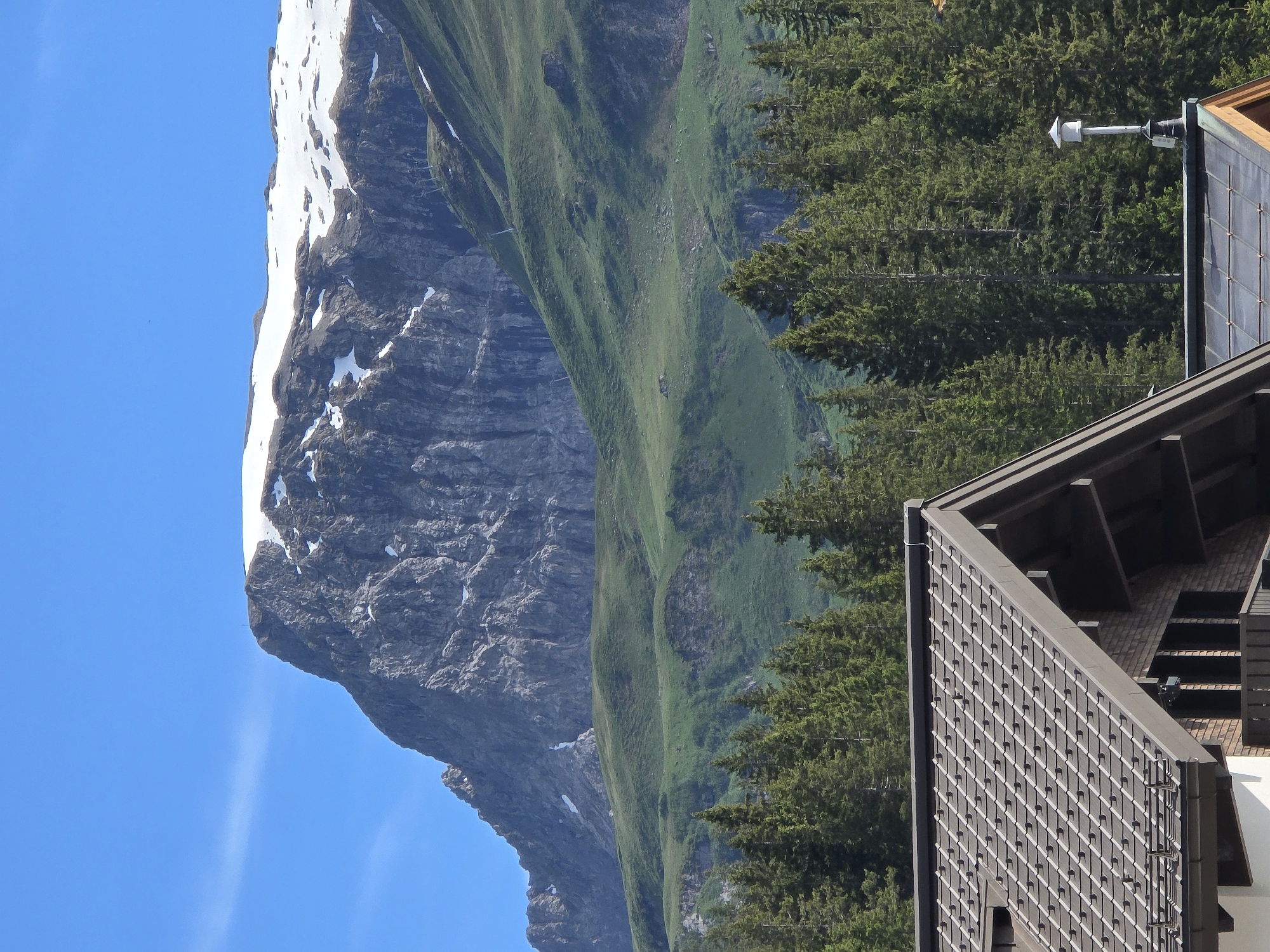 The image depicts a mountainous landscape with a building in the foreground. A large, rugged mountain dominates the background, its peak capped with snow. The lower slopes of the mountain are covered in lush green grass, dotted with some rocks. A dense forest of evergreen trees occupies the middle ground, separating the mountain from the building. The building in the foreground has a dark-tiled roof and appears to be a chalet-style structure, possibly in a ski resort given the scenery. The sky is a clear, bright blue. The image appears to be taken on a sunny day. There are no people or animals visible in the frame. The scene is a typical alpine view, likely from a location such as Lech, Austria, known for its mountainous terrain and ski resorts.