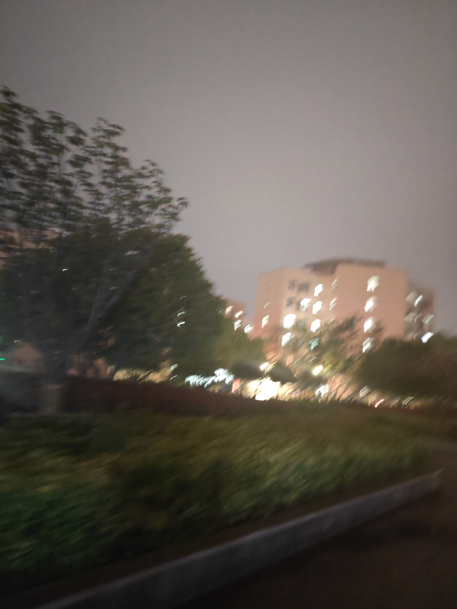 The image depicts an out-of-focus nighttime scene in what appears to be an urban park or green space, possibly in Jiangning District, China, based on the architectural style of the building in the background. The foreground consists of dense foliage and a concrete edge or curb, suggesting a pathway or garden. A blurred tree is prominent on the left side of the frame. In the middle ground, a multi-story building with illuminated windows is visible, partially obscured by trees. The sky appears overcast, contributing to the overall dim lighting. No people are visible in the frame. The scene conveys an impression of a quiet, urban night.