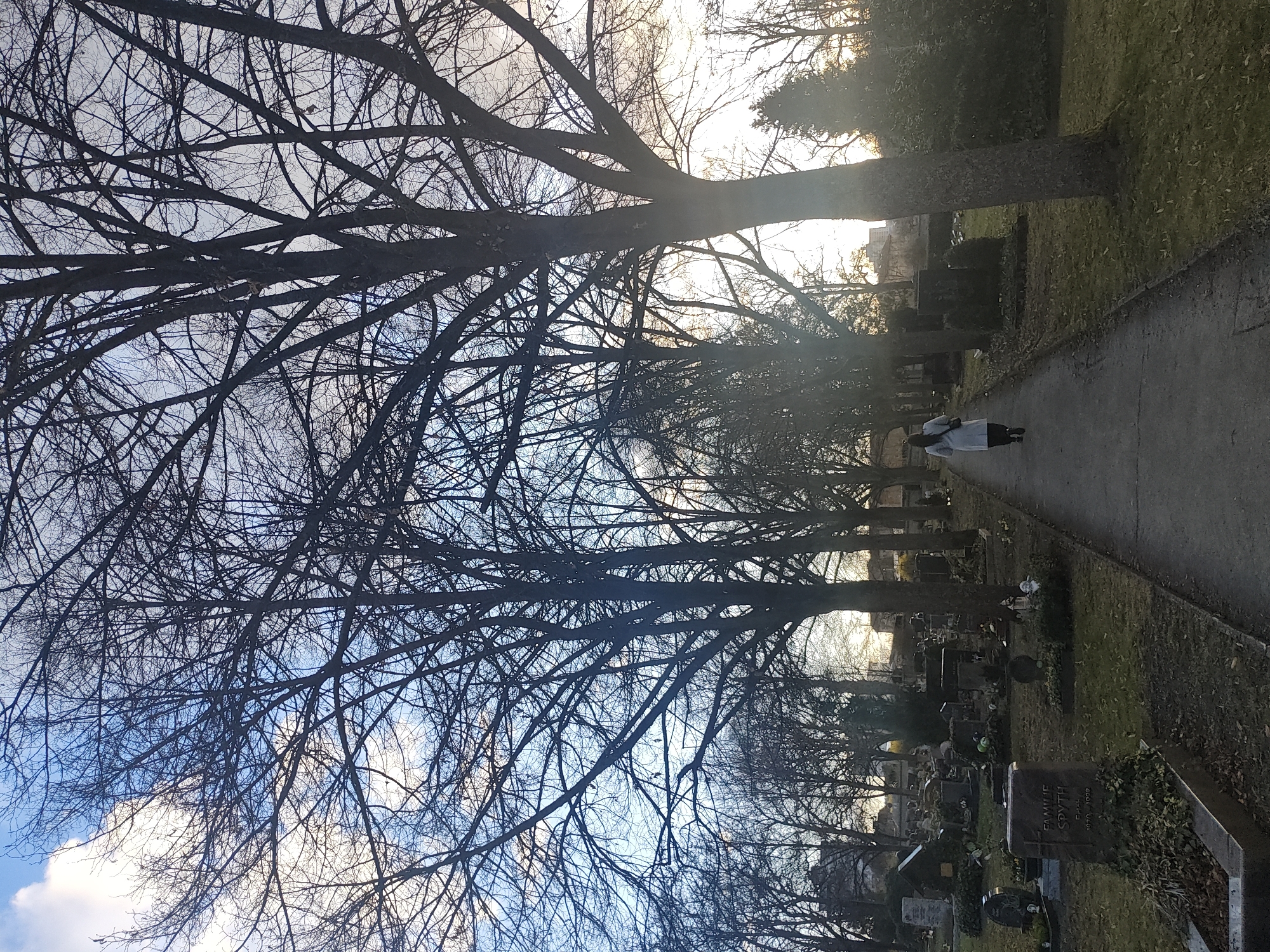 The image depicts a pathway through a cemetery in Bayreuth, Germany, likely during late autumn or winter. A single individual is visible, walking away from the viewer along the paved path that recedes into the distance. The person wears a light-colored coat and dark trousers, with a dark bag slung over their left shoulder.
On both sides of the path, grave plots and headstones are visible. To the left, a prominent dark grey granite headstone in the foreground reads "FAMILIE SPYTH" with the dates "GEB. 1920-1999." Surrounding this and other graves are patches of green ground cover, possibly ivy, and sparse grass.
Tall, deciduous trees with bare branches line both sides of the path, creating a natural archway and obscuring much of the sky directly overhead. The sky shows a mix of bright blue patches and white clouds, with strong sunlight filtering through the branches, particularly on the right side of the frame, suggesting either early morning or late afternoon. Distant buildings are faintly visible through the trees in the background. The ground consists of a grey paved path and areas of brown earth and scattered green grass or moss. No direct interactions between people or subjects are observable.
