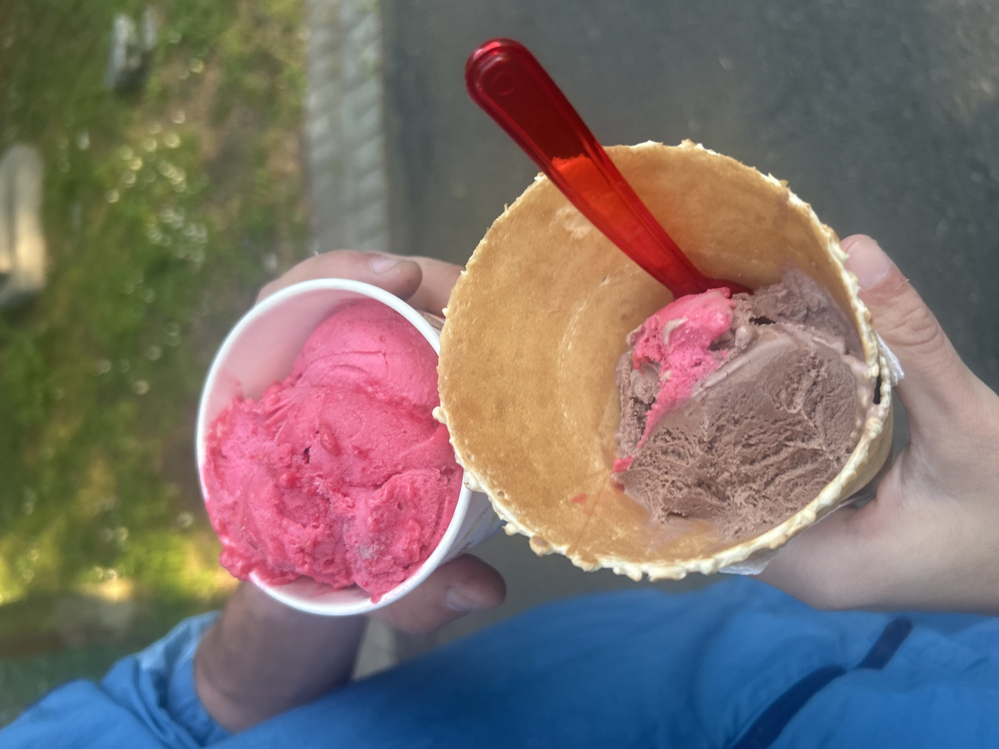 A first-person shot shows two hands holding two ice cream containers outdoors. The hand on the left holds a white cup filled with pink ice cream. The hand on the right holds a tall, light brown waffle cone filled with a scoop of chocolate ice cream topped with pink ice cream. A red plastic spoon is stuck in the ice cream. The person wearing a blue jacket/shirt is standing on a sidewalk. Visible in the background are blurry trees and a concrete road. The image was likely taken in Burgas, Bulgaria.