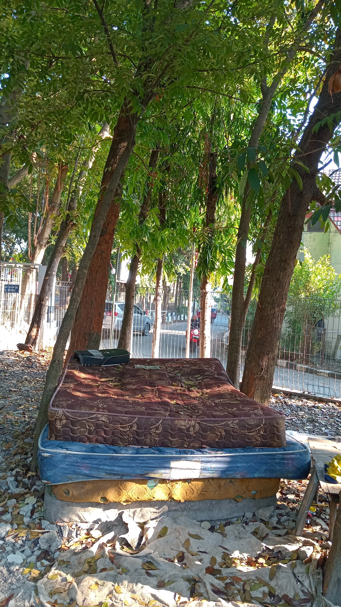 In Randuagung, Indonesia, a scene unfolds under the dappled sunlight filtering through lush green trees. The focal point is a makeshift bed constructed from three stacked mattresses, resting on a base of concrete and fabric. The top mattress, a dark brown with an ornate floral pattern, is slightly worn. Below it, a blue mattress shows signs of age and use. The bottom mattress is a faded yellow, revealing its inner foam. This unusual bed is situated outdoors, near a metal fence, with a paved road and cars visible beyond it. The ground surrounding the bed is covered with a mixture of leaves, gravel, and what appear to be fragments of concrete or stone. The environment suggests a public or semi-public space, possibly on the edge of a residential area, given the presence of houses and a fence. The lighting indicates it is daytime, with shadows cast by the trees and the mattresses. There are no people directly interacting with the bed or the scene, though the presence of vehicles suggests ongoing activity in the vicinity.