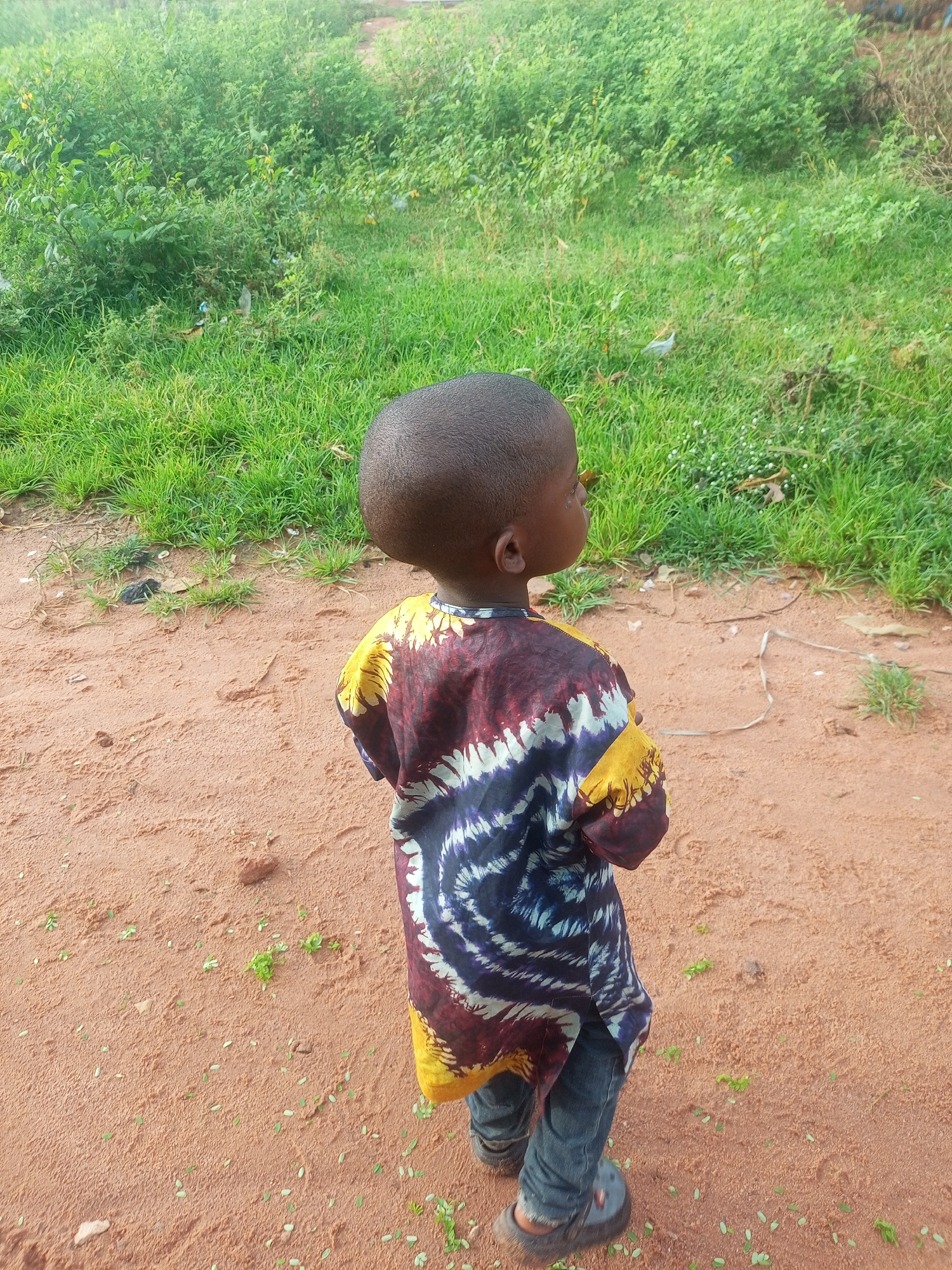 In Tempure, Nigeria, a young boy stands on a reddish-brown dirt path, facing away from the camera and looking to his right. He is wearing a vibrantly colored, tie-dye patterned tunic with shades of yellow, burgundy, and dark blue, over dark jeans and grey shoes. The path is sparsely covered with small green leaves and twigs. Behind him, a dense, overgrown area of green grass and foliage stretches into the background, suggesting an undeveloped or rural setting. The overall impression is of a simple, outdoor environment.