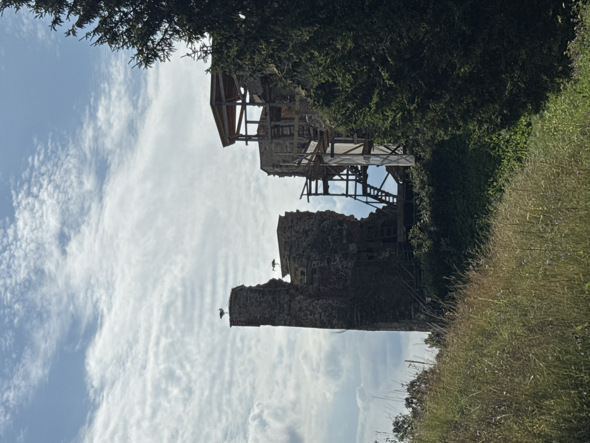 In Vana-Vastseliina, Estonia, the ruins of a stone castle stand against a sky filled with dramatic clouds. Three storks are visible, one perched atop a tall, weathered tower on the left, and another on a lower section of the same structure. A third stork stands on an adjacent, partially constructed section of the ruins. Wooden scaffolding and supports are integrated into the crumbling stone architecture, indicating ongoing restoration or preservation efforts. The foreground is dominated by a grassy slope dotted with wildflowers, while a dense evergreen tree frames the right side of the scene.