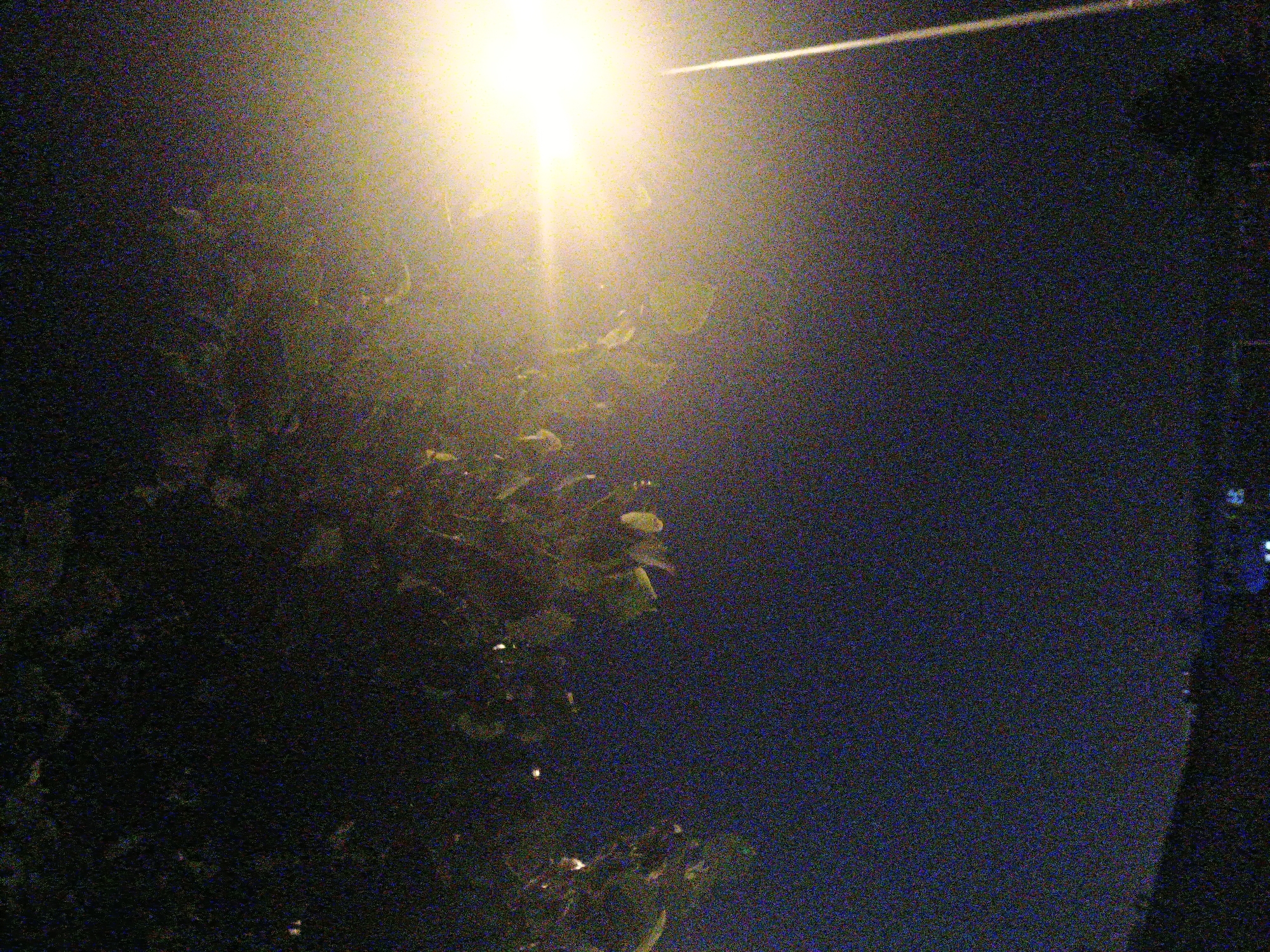 The image depicts a nighttime scene, characterized by a dominant, bright artificial light source against a dark background. A powerful, yellow-white light, likely a streetlamp or outdoor luminaire, is positioned in the upper left section, creating a strong glare that extends outwards.
Below and to the left of the light, dark, amorphous shapes are visible, consistent with tree foliage or branches. These elements are partially backlit and silhouetted by the intense light source. The remainder of the frame, particularly the right and upper right portions, is enveloped in deep blues and blacks, suggesting an unlit night sky or distant darkness. A faint, thin, light-colored horizontal line or streak is discernible in the upper right quadrant.
The entire image is heavily affected by digital noise or grain, indicating it was captured in very low light conditions, which obscures fine details and gives the photograph a textured appearance. There are no identifiable people or specific objects beyond the light and vague vegetation. No discernible activity is taking place, and no text is visible. The overall impression is that of a quiet, dark street or park scene at night, potentially in Kroměříž, Czechia.