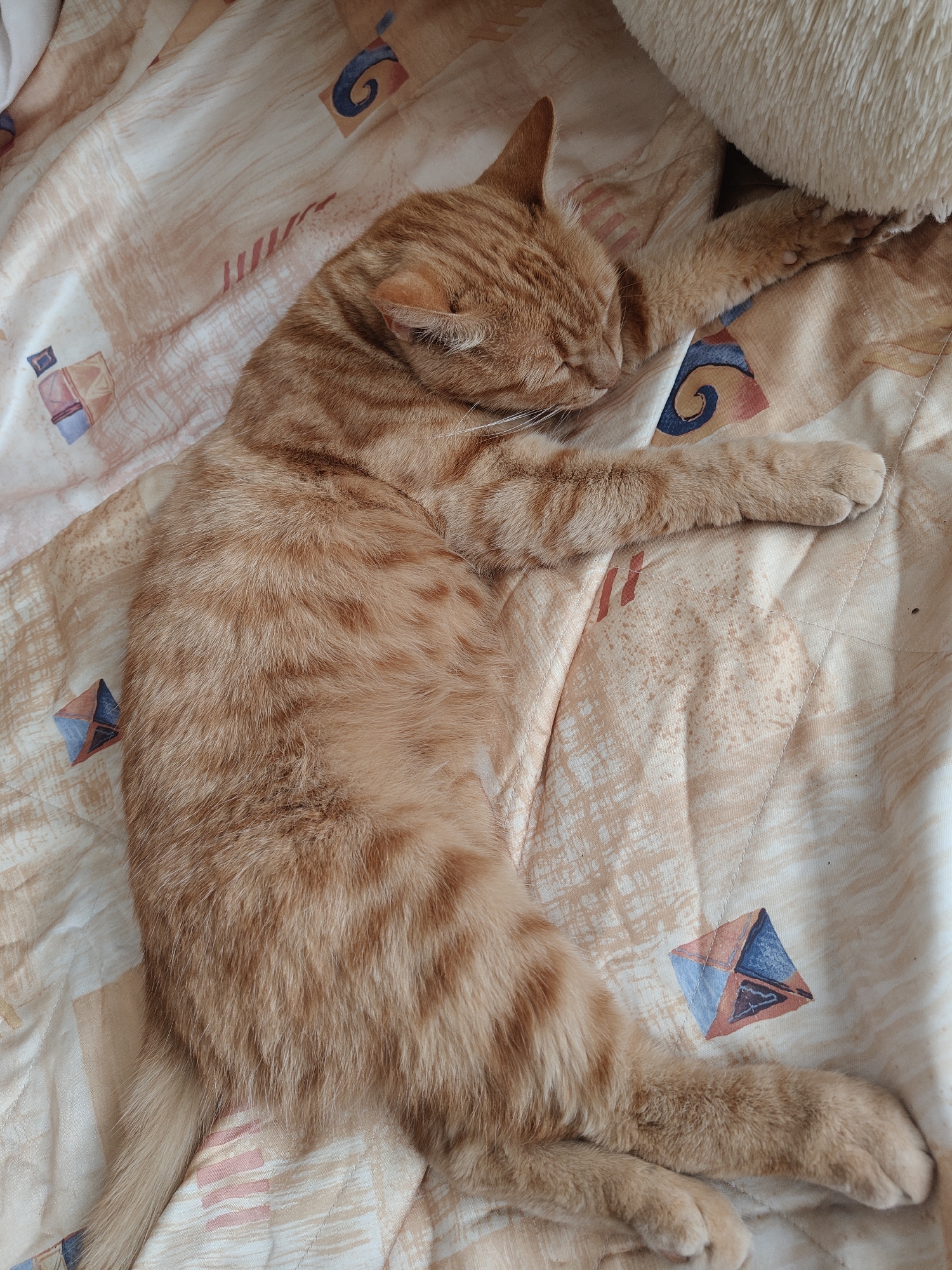 A ginger tabby cat is sleeping peacefully on a patterned blanket. The cat is curled up on its side with its eyes closed and its paws relaxed. The blanket has a light peach background with geometric patterns in shades of blue, red, and cream. The cat's fur is a warm orange with darker tabby stripes. The lighting suggests it is daytime, possibly indoors. There is a portion of a fluffy white object, possibly a pillow or stuffed animal, visible in the upper right corner of the image. There is no indication of the location being Kovalevskoye, Russia.