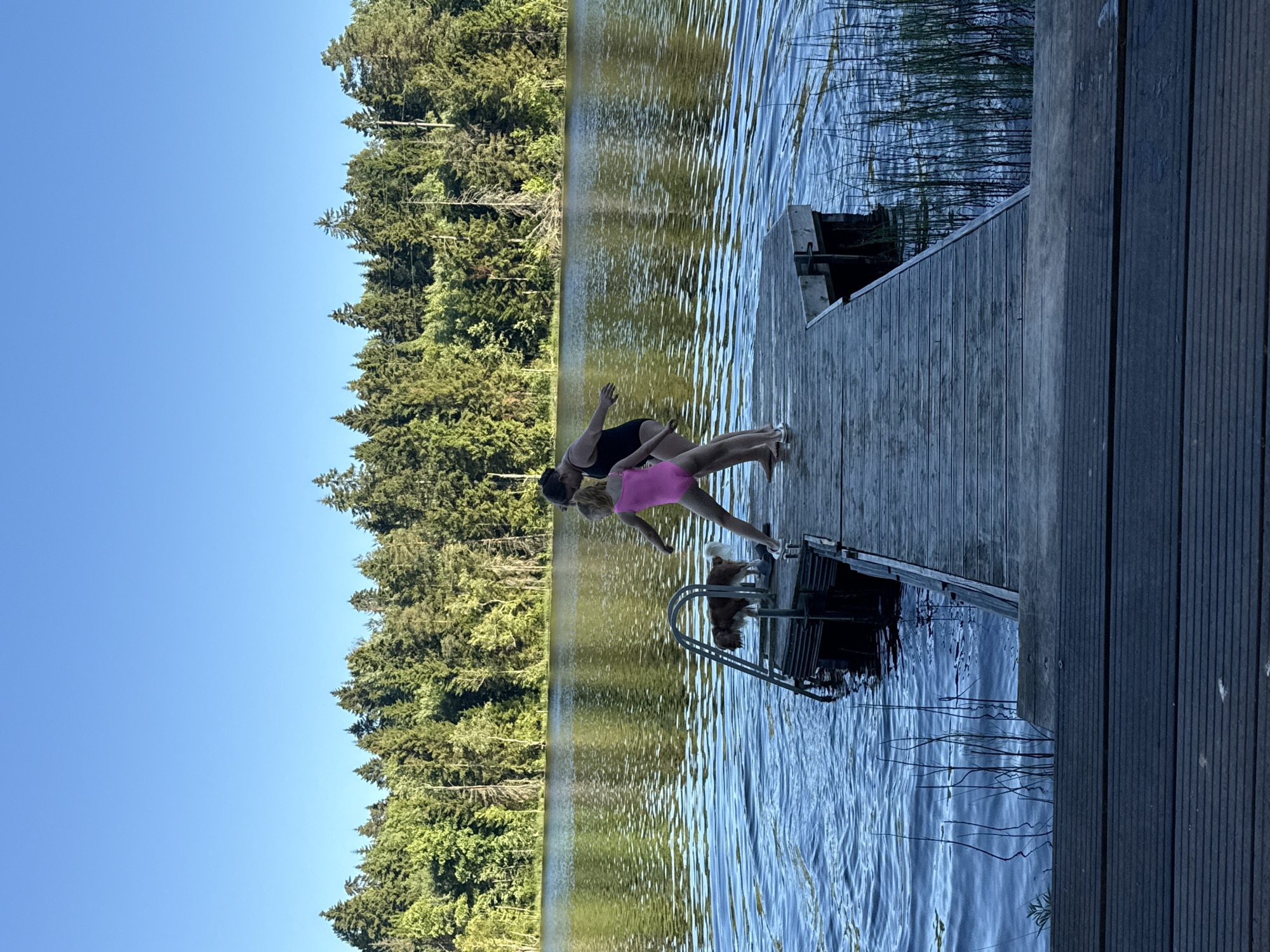 In Zamosh'e (Zaklinskoe S/P), Russia, on a clear day, two young girls, one in a black swimsuit and the other in a pink swimsuit, stand on a wooden dock. The girl in pink is facing away from the camera, her arms outstretched, and appears to be in motion, possibly jumping. The girl in black is standing next to her, also with arms extended, looking towards the water. A medium-sized dog with brown and white fur stands near the edge of the dock, by a metal ladder descending into the lake. The lake is calm with ripples on its surface, reflecting the surrounding dense forest of green trees under a bright blue sky. The dock is made of weathered wood planks, extending into the water. In the foreground, more wooden planks, possibly part of a deck or additional dock, are visible. The overall scene depicts a serene summer day at a lakeside.
