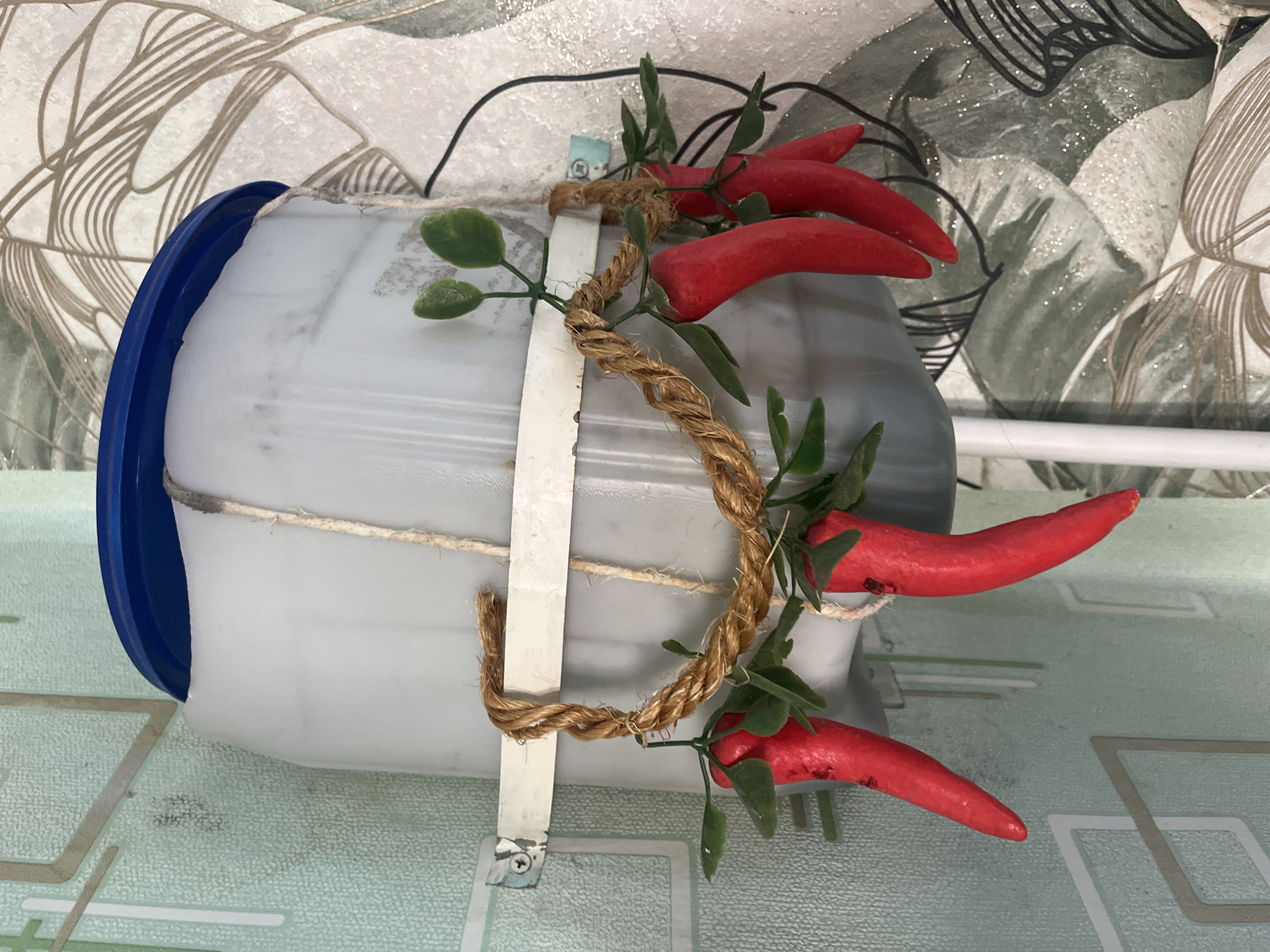 An upside-down, translucent plastic container with a blue lid is mounted to a wall. A thick rope is wrapped around the container and adorned with several red chili peppers and artificial green leaves. The container is attached to the wall with a metal bracket. The wall behind the container has a patterned wallpaper. The scene appears to be indoors, possibly in a residential setting in Kovriga, Russia.