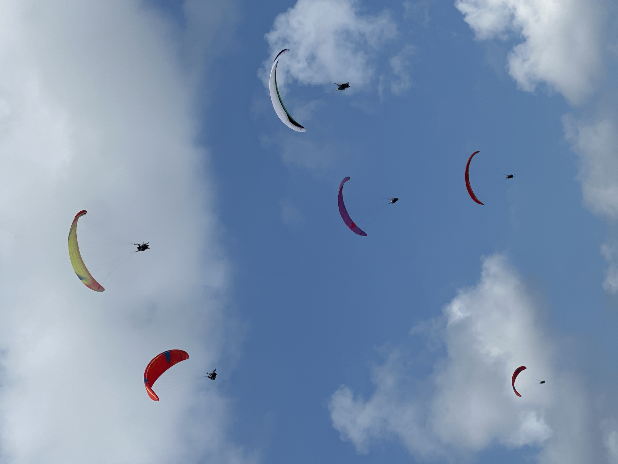 This media file captures a group of paragliders soaring through a partly cloudy blue sky. The subjects are seven paragliders, each appearing as a small silhouette against the vast sky, attached to colorful paraglider wings. The wings are curved and vary in color, including yellow and red, white and green, and purple. The scene is set in an open sky, suggesting an outdoor recreational activity.
The activity taking place is paragliding, where individuals are using paraglider wings to glide through the air. The paragliders are dispersed across the frame, indicating they are likely in mid-flight, possibly enjoying a recreational outing or participating in an event.
Notable details include the partly cloudy weather, with large white clouds dotting the blue expanse, creating a dynamic backdrop. The bright sky suggests it is daytime, likely midday or afternoon. There are no visible text elements in the image. The overall impression is one of freedom, adventure, and the exhilaration of flight. The location is identified as Kuta Selatan, Indonesia, a region known for its scenic beauty and opportunities for adventure sports.