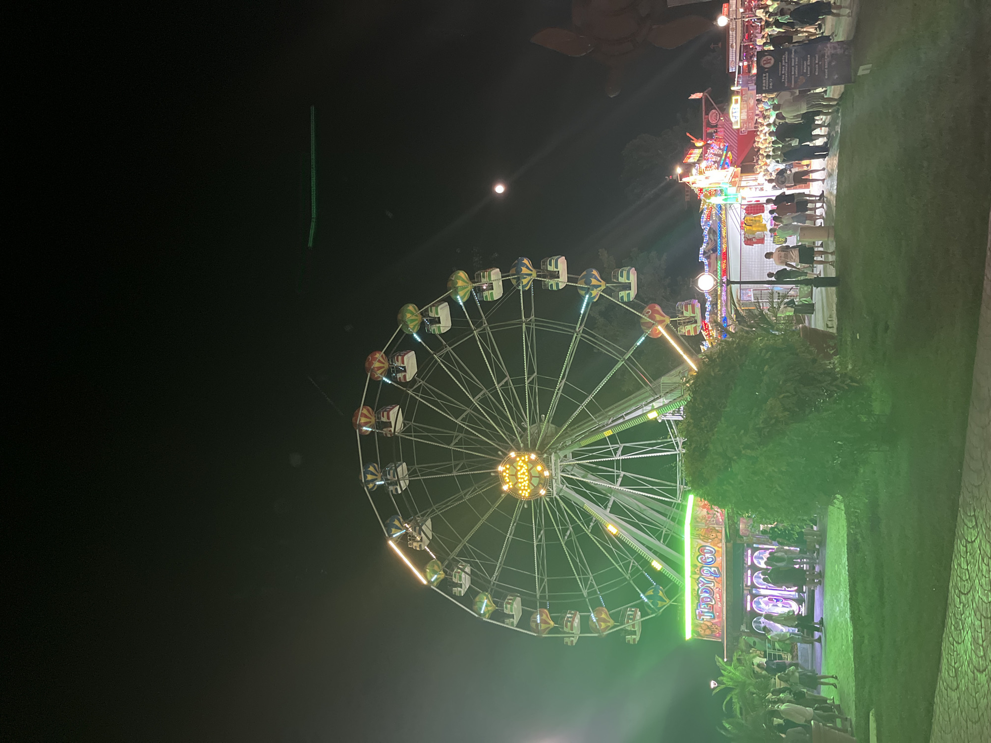 This image captures a night scene at an amusement park, likely located in Varna, Bulgaria, given the context. In the foreground, a well-lit Ferris wheel dominates the scene, its white spokes and colorful gondolas illuminated against the dark sky. The central hub of the Ferris wheel is adorned with bright yellow lights, forming a circular pattern. Below and to the left of the Ferris wheel is a game stall with a neon green sign that reads "TEDDY 2 GO." A crowd of people, dressed in casual summer attire, are gathered around the stall and in the general vicinity of the amusement park attractions. They appear to be socializing and enjoying the evening.
To the right of the Ferris wheel, the moon is visible in the night sky, appearing as a bright orb. Further to the right, a large, dark structure, possibly another amusement ride or a thematic decoration, is partially visible. The ground is covered with a manicured green lawn, and a paved pathway can be seen in the lower section of the image. The overall atmosphere is festive and lively, suggesting a popular entertainment venue.