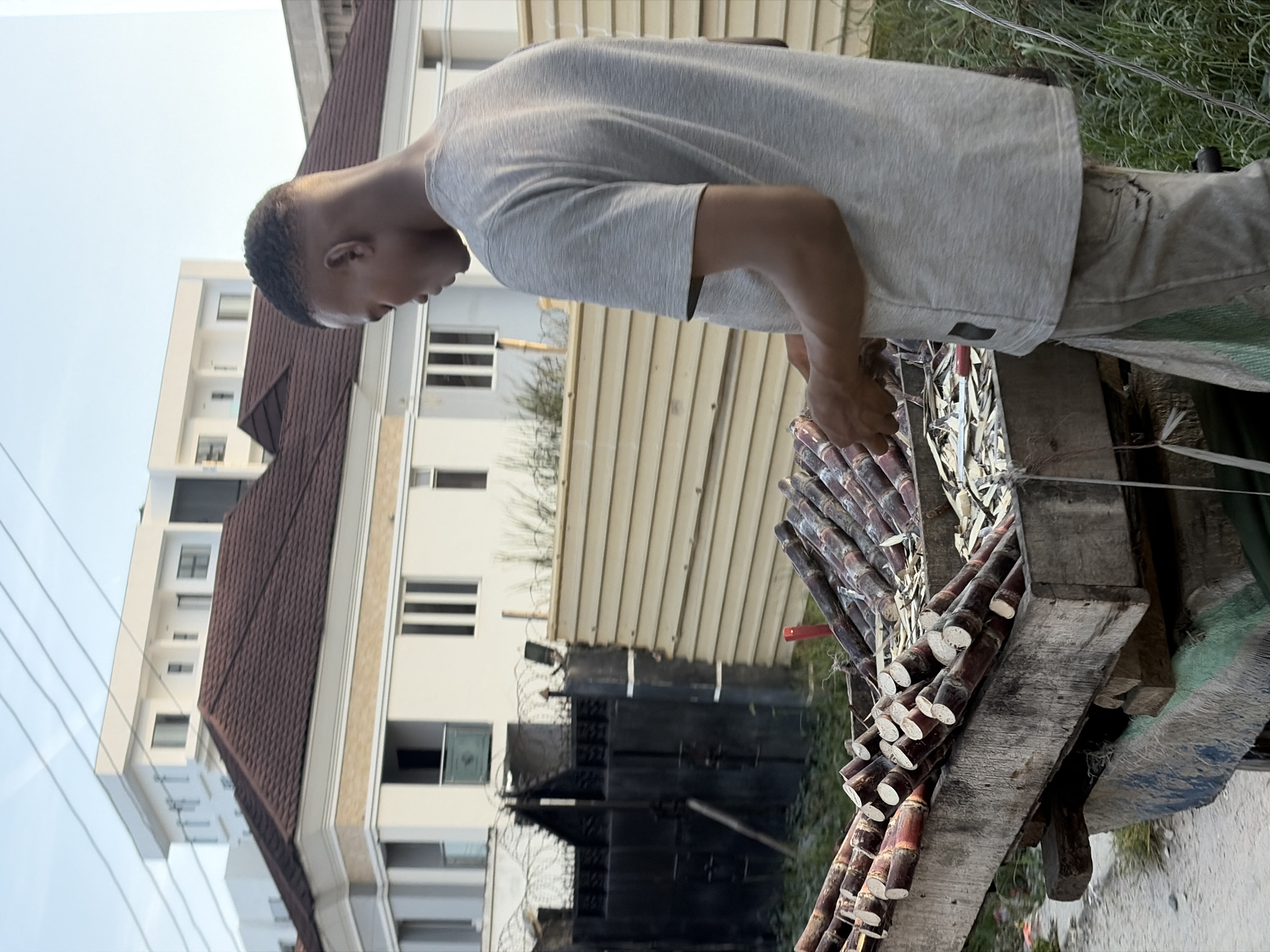 A man stands outdoors, examining a pile of sugar cane resting on a crude wooden structure. The man has short, dark hair and wears a light gray t-shirt and beige pants. He appears to be focused on the sugar cane. The sugar cane is piled high, showing the characteristic segments and colors of the plant. The wooden structure appears to be makeshift, perhaps a temporary stand.
Behind the man and the sugar cane is an urban landscape. A large building with multiple stories is visible to the left, featuring a dark brown roof. In the background, a white-walled structure is also visible behind a black iron fence or gate. The background indicates an urban location in Moba, Nigeria.