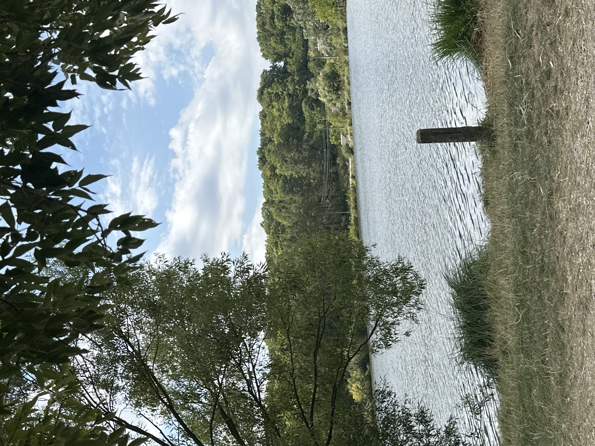 The image depicts a tranquil natural scene, likely a body of water such as a lake or river, in Makiv, Ukraine. The foreground features dry grass and a weathered wooden post standing near the water's edge. Lush green grass grows in clumps along the bank, with a dense tree on the left partially obscuring the view. The water's surface is rippled, reflecting the blue sky dotted with white clouds. Across the water, a treeline of dense green foliage forms the background, with hints of buildings and power lines suggesting a nearby settlement or infrastructure. The overall atmosphere is serene and natural.