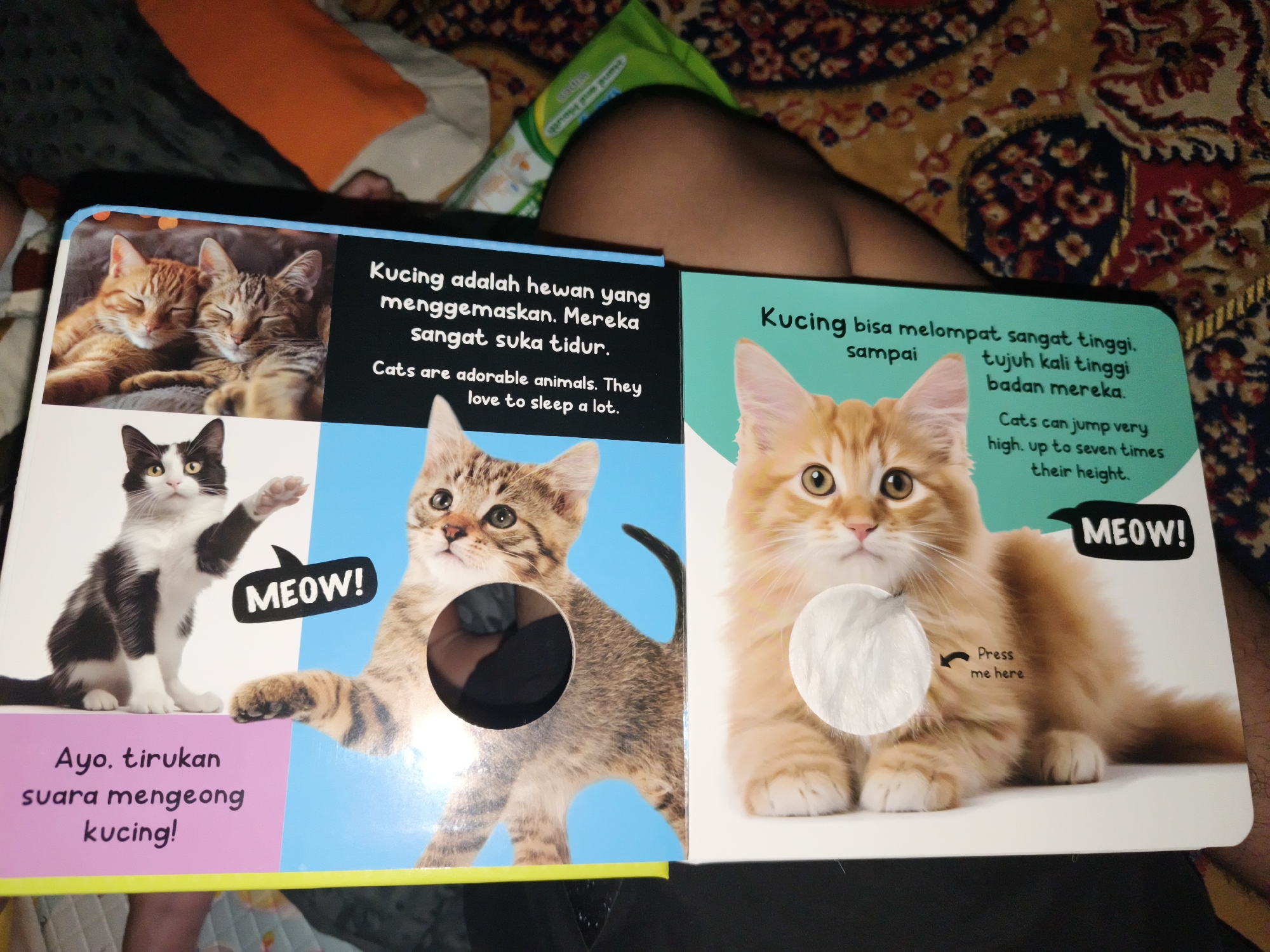 The image shows an open children's book with images of cats and text in Indonesian and English. The left page features two cats sleeping, and below them, a black and white cat with a speech bubble containing the word "MEOW!". Text on this page reads, "Kucing adalah hewan yang menggemaskan. Mereka sangat suka tidur. Cats are adorable animals. They love to sleep a lot." Below this, a pink rectangular box contains the text, "Ayo, tirukan suara mengeong kucing!" which translates to "Come on, imitate the cat's meow!". The right page displays a fluffy orange cat with the text "Kucing bisa melompat sangat tinggi. sampai tujuh kali tinggi badan mereka. Cats can jump very high. up to seven times their height." This page also has a circular button with the text "MEOW!" and an arrow pointing to a furry circle with the words "Press me here". The book is lying on a patterned blanket. A person's bare leg and arm are visible in the background, draped over an orange pillow. The scene is likely in a home environment. The location in the city of Barengkrajan, Indonesia is not discernible from the image.
