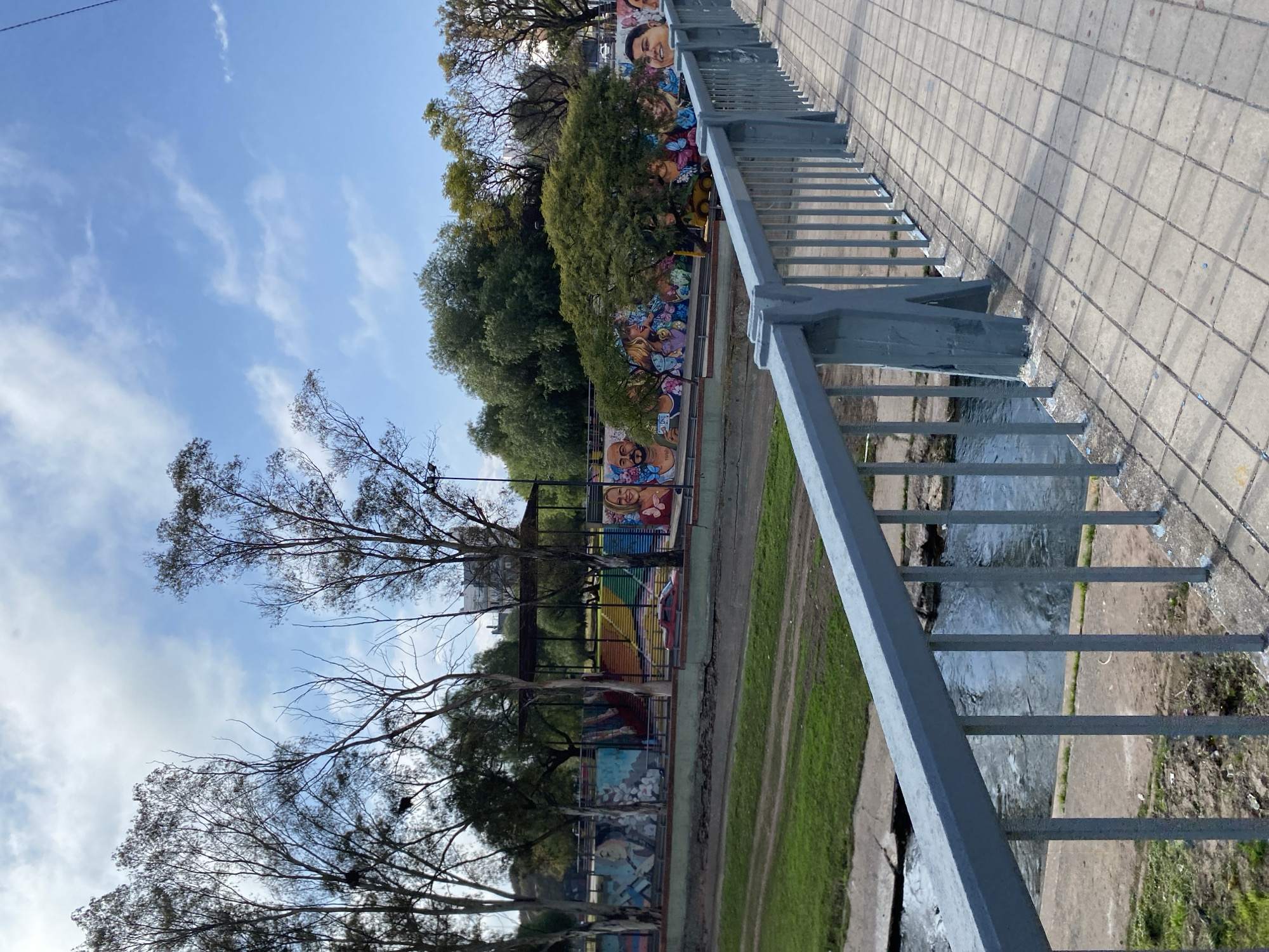 This image depicts a public park area adjacent to a river or canal in the city of Cordoba, Argentina. The foreground features a grey, metal-railed bridge with a tiled walkway. Below the bridge, a body of water flows, with grassy banks on either side.
Beyond the water, a long wall is adorned with vibrant murals. These murals feature portraits of diverse individuals, some in close-up and others as part of larger compositions. The artwork is colorful and detailed, depicting various facial expressions and styles. Behind the wall, trees with sparse foliage stand against a bright blue sky with scattered white clouds. A covered structure, possibly a pavilion or seating area, with rainbow-colored steps is visible between the trees. A red vehicle is parked near the structure.
The overall scene conveys a sense of urban public space enhanced by art, with natural elements like trees and water integrated into the environment. The lighting suggests it is daytime, with clear weather conditions.