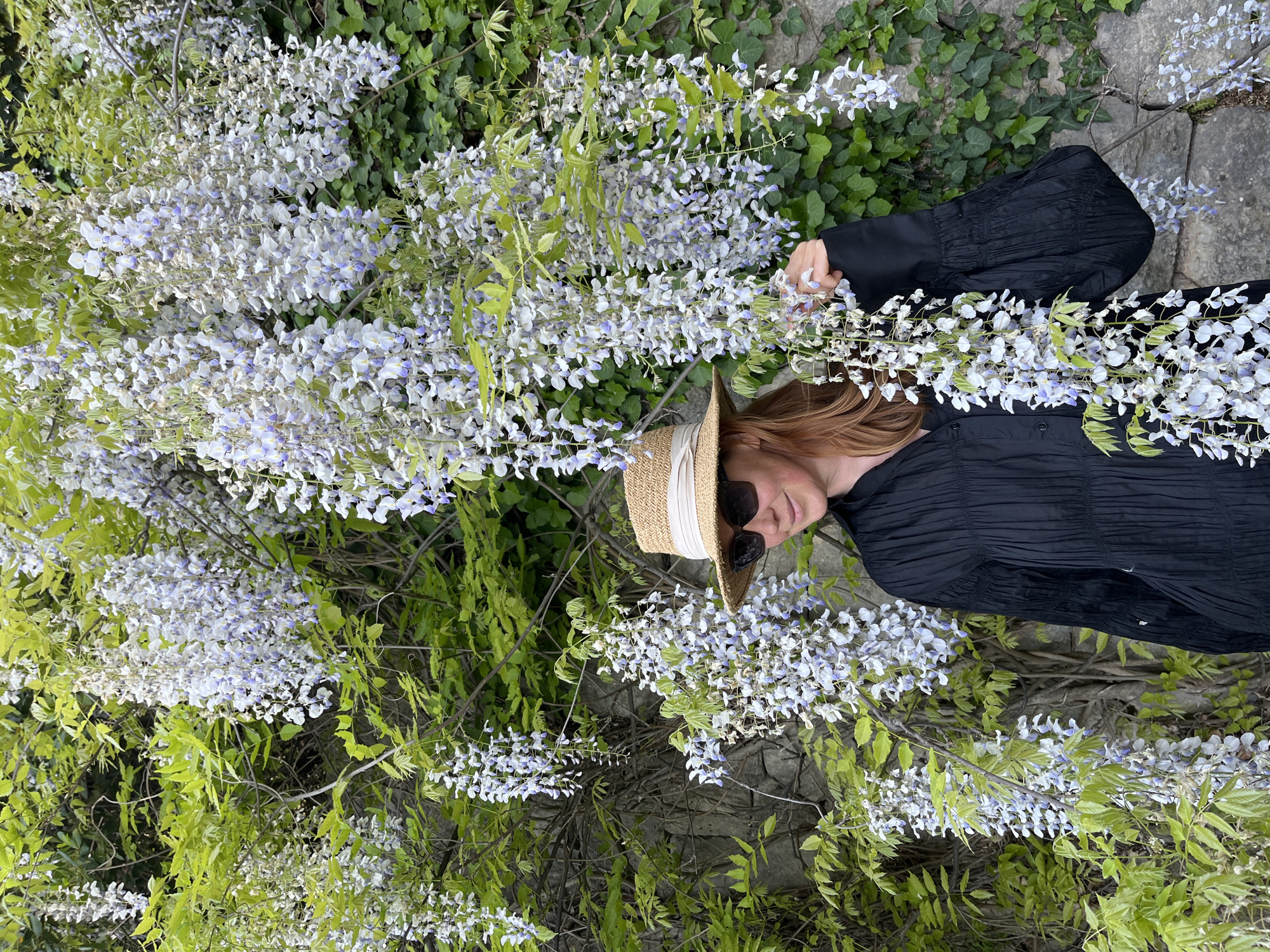 A woman lies sideways, partially obscured by flowering wisteria vines, on a stone surface. She wears a black shirt with a ruffled texture and voluminous sleeves, sunglasses, and a straw hat with a white band. The wisteria, predominantly white with hints of purple, drapes over her. The background consists of dense green foliage including ivy, and the stone surface suggests a wall or pathway. This scene is likely located near Sveti Stefan, Montenegro, suggested by the architecture and typical flora of the region.