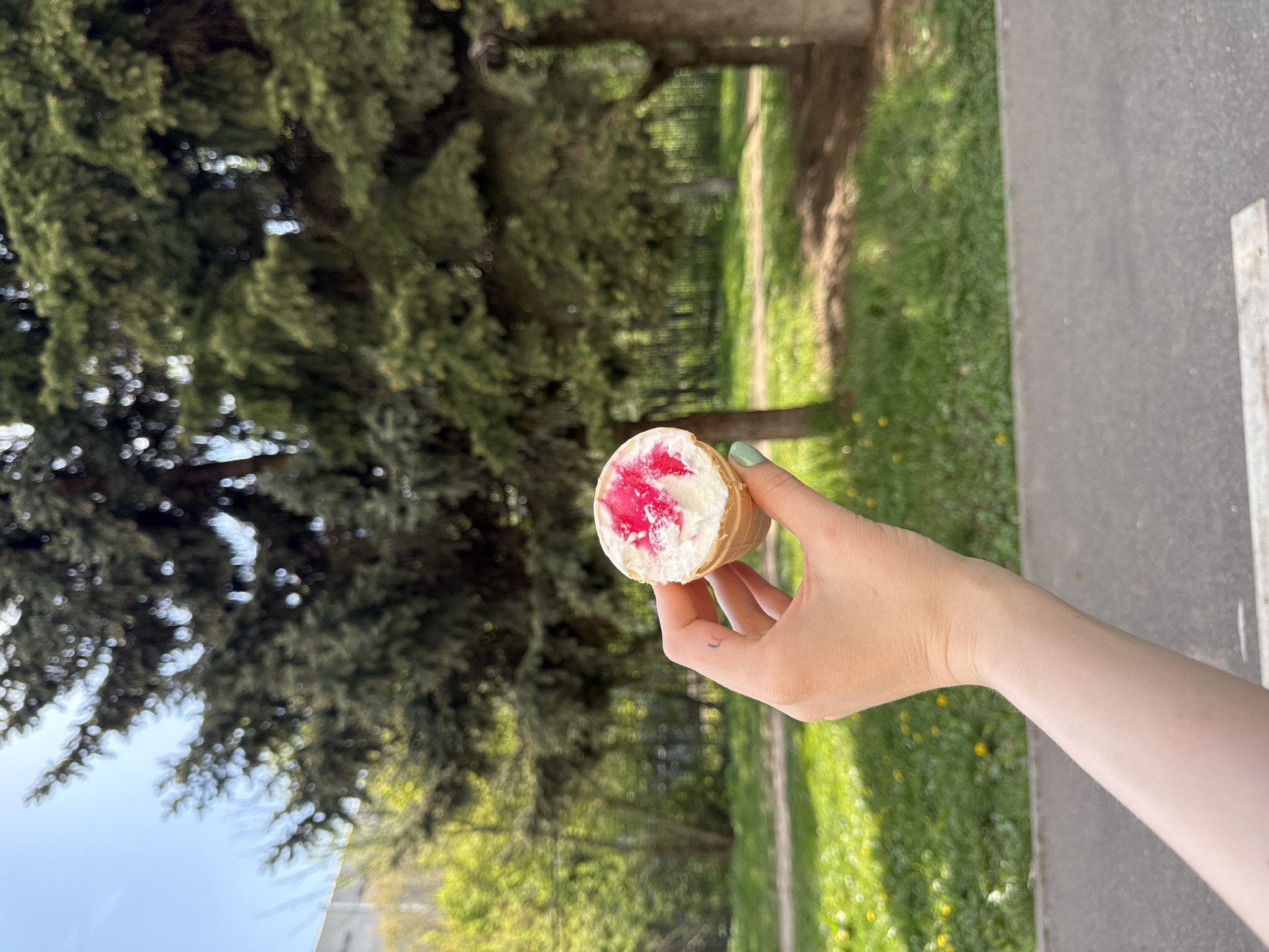 A vertically oriented, eye-level, full outdoor shot depicts a hand holding an ice cream cone in an outdoor setting likely in Moscow, Russia.
The fair-skinned hand holds an ice cream cone with a white base and pink swirls on top. The fingernails are painted a mint green color, and a small tattoo is visible on the hand.
The background features a blurred scene of greenery, including trees and grass, suggesting a park or garden setting. Part of a gray sidewalk and white-painted concrete barrier are visible on the right. The top-left of the image shows a large, dense evergreen tree.