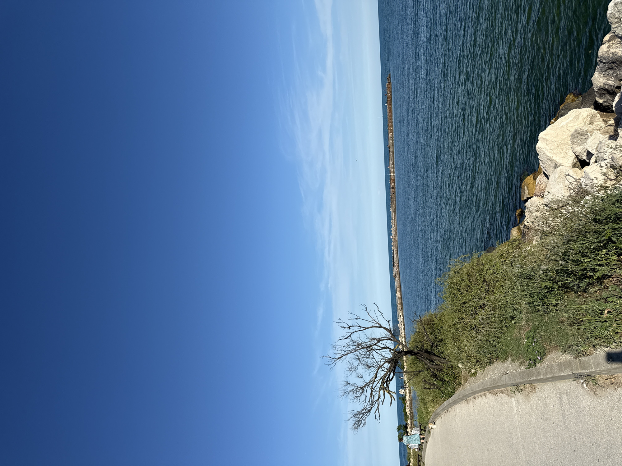 A paved walkway curves along the edge of a body of water under a clear blue sky. A sparsely leaved tree grows near the walkway, its branches reaching out towards the water. Beyond the tree, a rocky shoreline meets the water. In the distance, a long pier or breakwater extends out into the water, and a few scattered boats are visible. The water is a deep blue-green, with gentle ripples on its surface. The scene appears to be a peaceful coastal area, likely a park or recreational spot, with a few people visible in the background on the walkway.