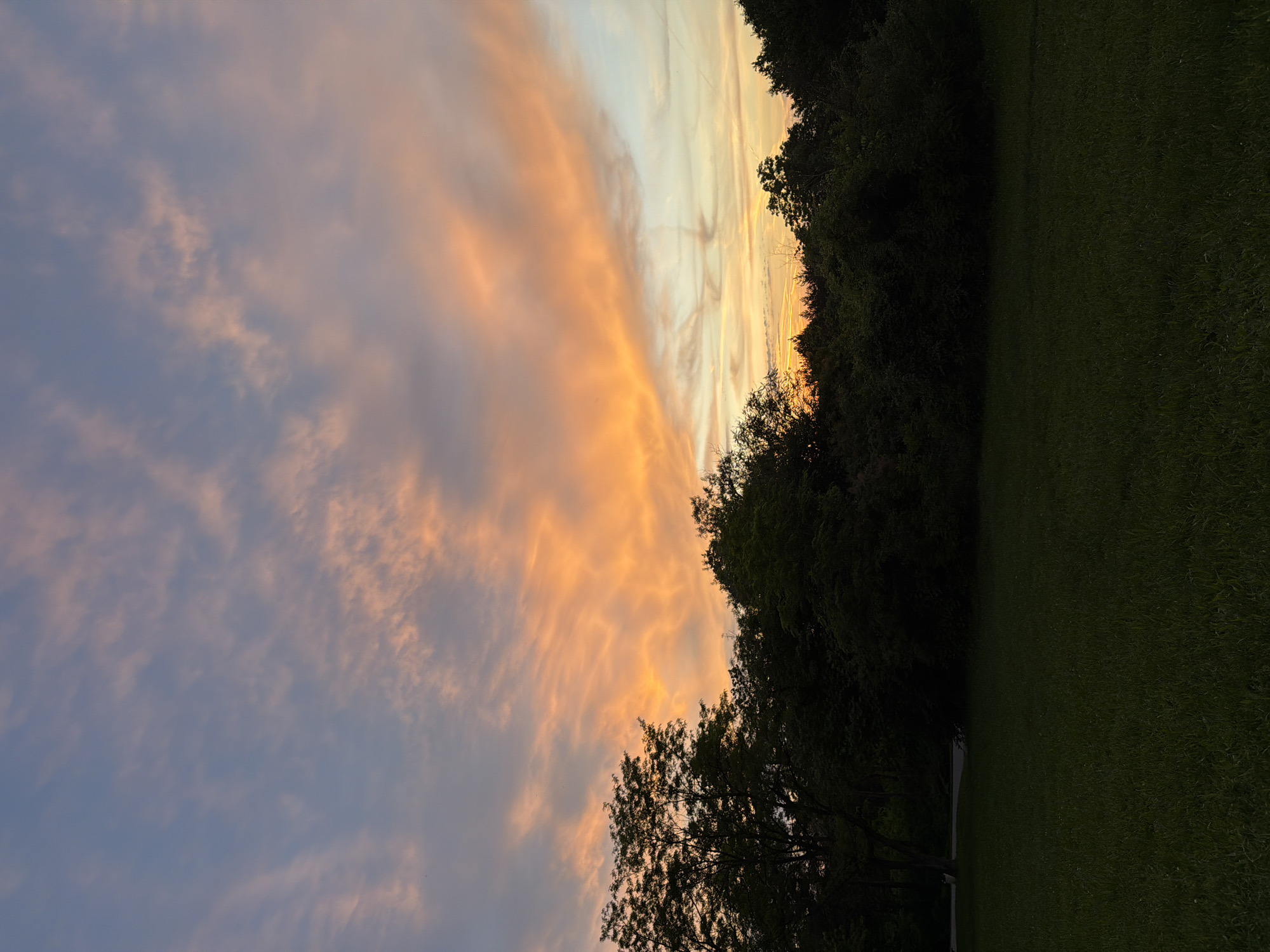 The image depicts a sunset scene in Lovech, Bulgaria. The sky is filled with clouds illuminated by the setting sun, creating a mix of orange, yellow, and blue hues. Trees are silhouetted against the sky, forming a dark border along the top and bottom edges of the image. A grassy area is visible in the lower right corner. No people or interactions are visible in the scene.