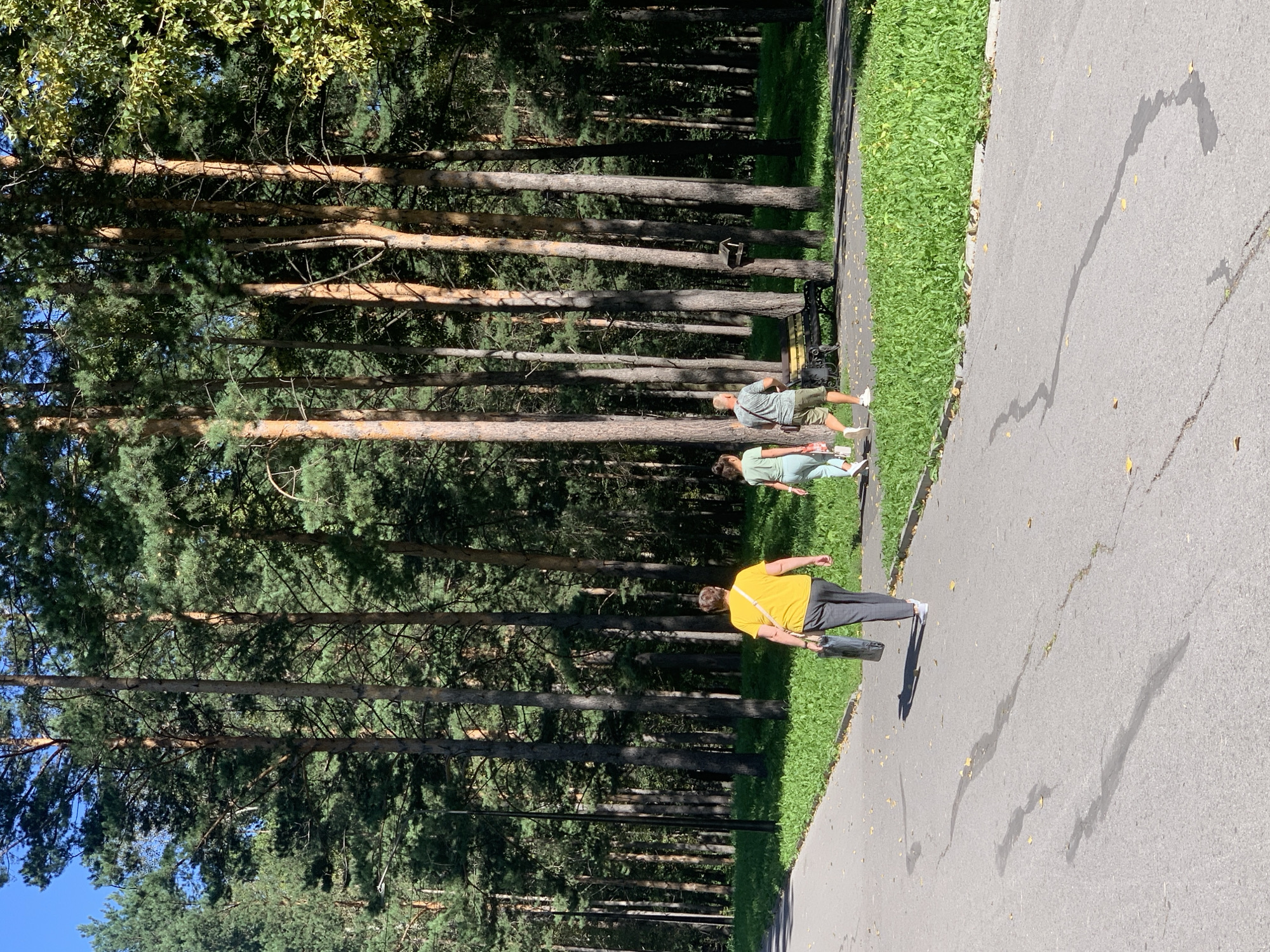 The image shows a paved path in a park with tall pine trees on the right side. Three people are walking away from the camera on the path. A woman in a yellow shirt and grey pants is in the foreground, carrying a dark bag. A younger woman in a light green outfit and a man in a grey shirt and khaki shorts are walking ahead of her. A park bench is visible in the background, with some greenery and more trees. The overall impression is a sunny day in an urban park. The image is taken in Prokopyevsk, Russia.