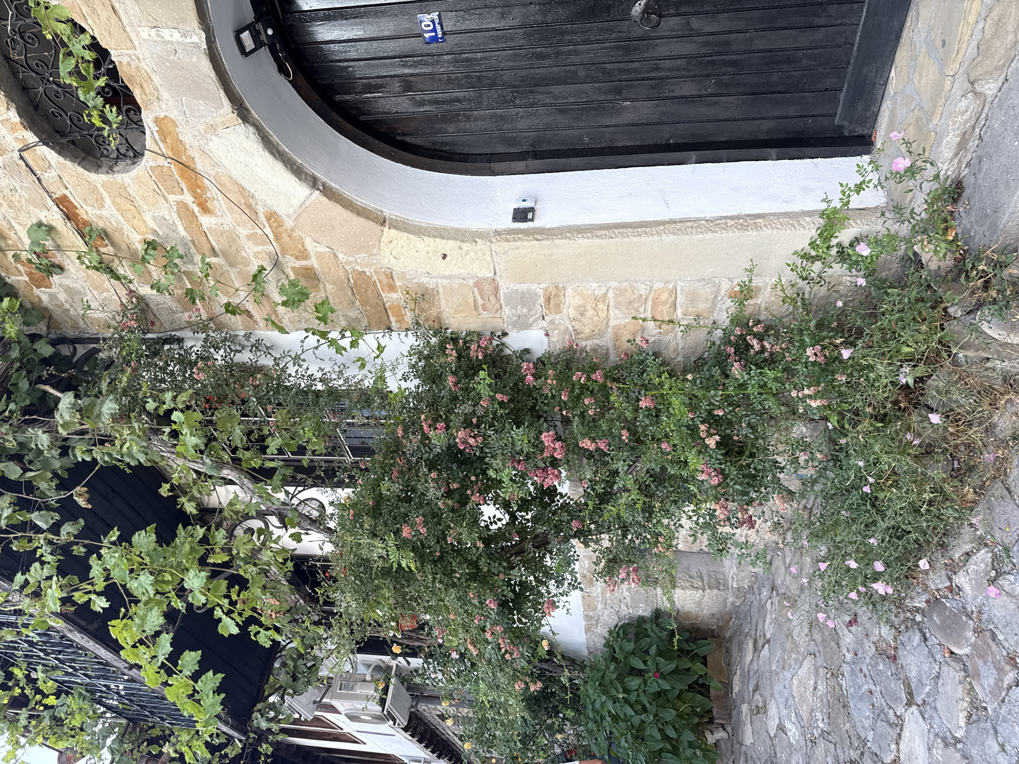 The image shows a close-up view of a building's facade in Veliko Tarnovo, Bulgaria, featuring an arched black wooden door with a blue house number sign displaying "10". The door is set within a stone and brick wall. To the left of the door, a bush with small pink flowers is growing, and ivy or grapevines are climbing up the building, with some vines cascading from an upper balcony with a black metal railing. An air conditioning unit is visible on the wall below the balcony. The ground is paved with irregular grey stones. The scene depicts a charming, aged architectural setting with abundant greenery.