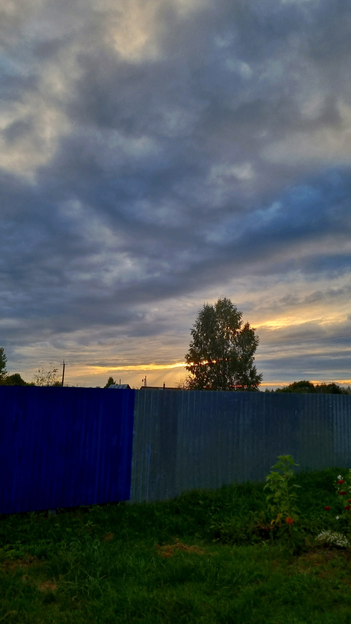 The image depicts a rural landscape scene at sunset in the city of Vysokoe, Russia. In the foreground, a grass-covered area leads up to a corrugated metal fence. The fence is divided into two sections: the left side is painted a vibrant blue, while the right side is its natural grey metallic color. Behind the fence, a single, leafy tree stands prominently in the middle ground, silhouetted against the sky. The setting sun casts a warm, golden glow through the branches of the tree and illuminates the horizon. The sky above is filled with dramatic, dark grey clouds that are streaked with lighter tones, suggesting overcast conditions with breaks of sunlight. In the distance, beyond the tree, the silhouette of trees and low-lying buildings are visible. The overall impression is one of twilight in a quiet, rural setting.