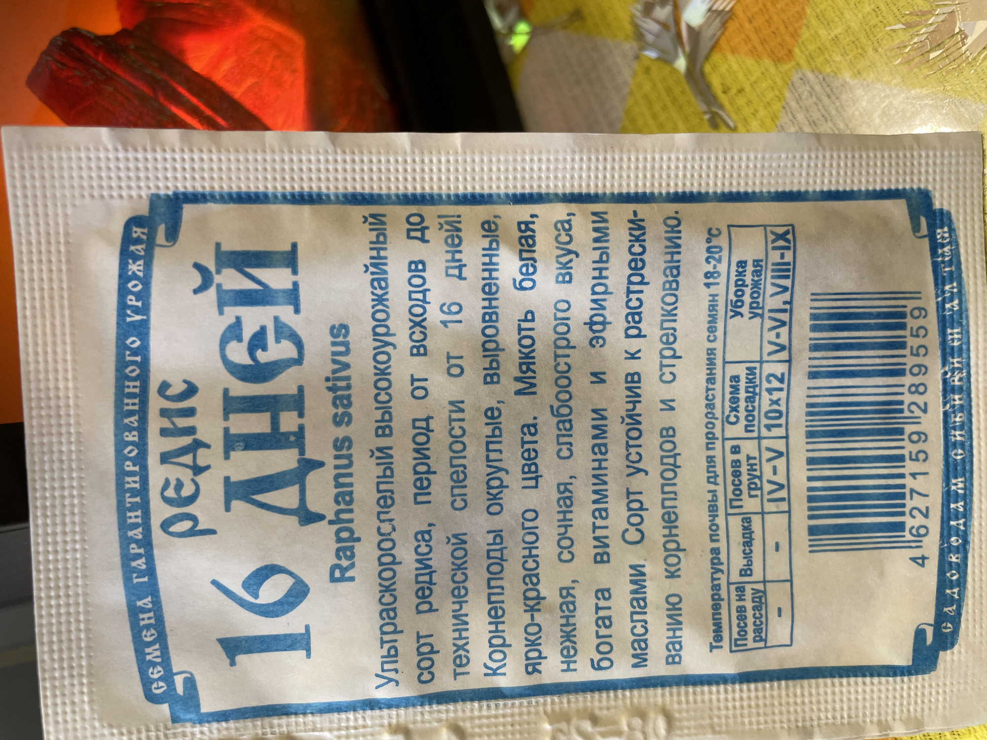 The image shows a packet of radish seeds, variety "16 дней" (16 days), a fast-growing and high-yielding type of radish, with the botanical name Raphanus sativus. The description states that the radishes are round, uniform, and bright red, with white, tender, juicy flesh that has a mildly spicy flavor, rich in vitamins and essential oils. The variety is resistant to cracking and bolting. The optimal soil temperature for seed germination is 18-20°C. Seeds should be sown directly into the ground in April-May, following a 10x12 cm planting pattern. The harvest period is May-June and August-September. The packet is labeled in Russian. The location is not stated on the packet.