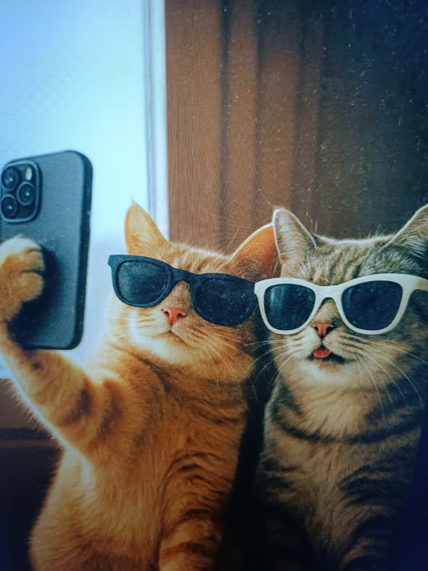 Two cats are posing for a selfie. The cat on the left is an orange tabby wearing black sunglasses and holding a smartphone in its paw. The cat on the right is a grey tabby wearing white sunglasses and sticking its tongue out. They are positioned in front of a window with vertical blinds and a wooden door frame. The image is a close-up shot, showing the cats from the chest up. There is no information in the image that suggests it is located in Taraz, Kazakhstan.