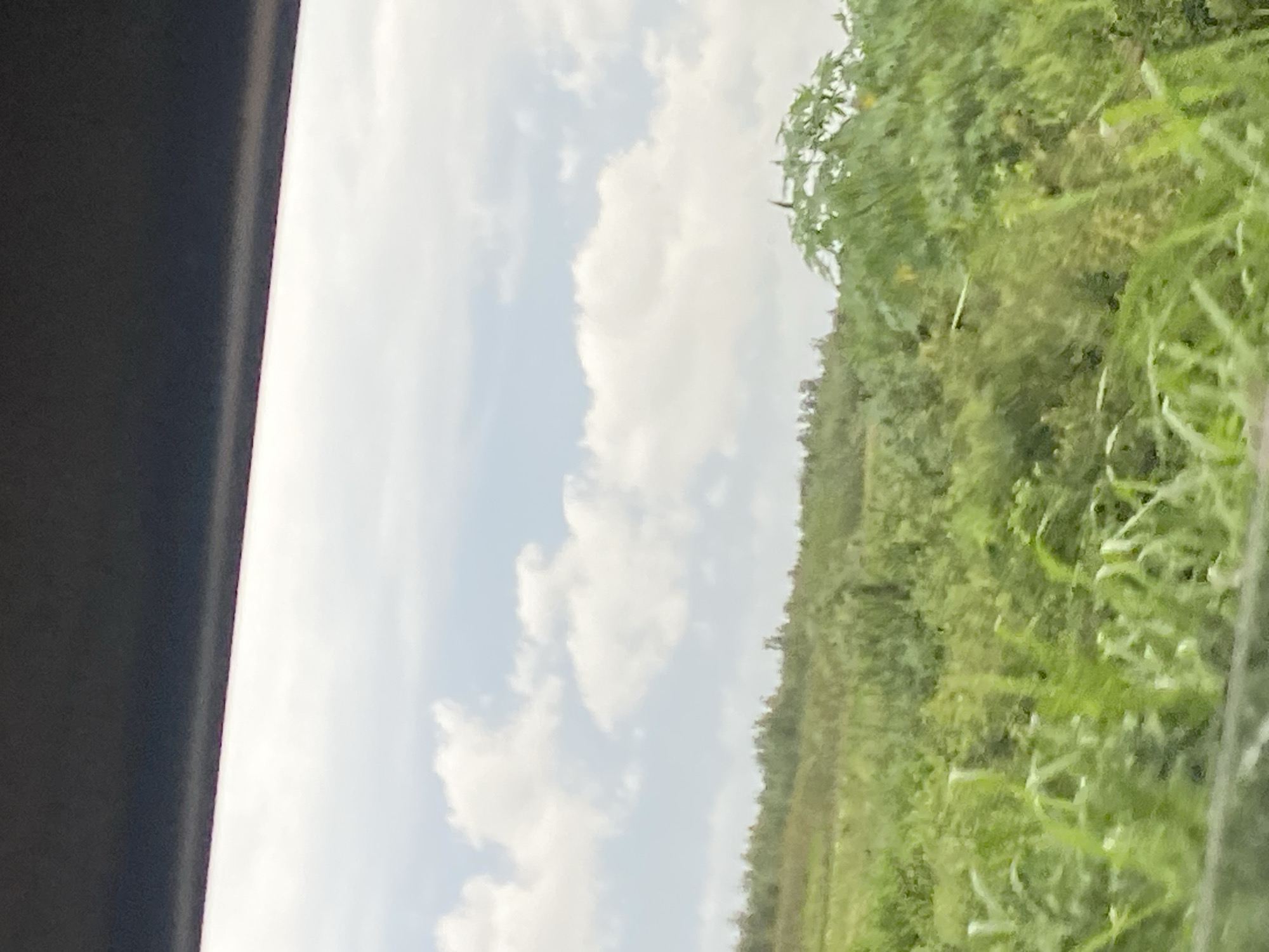 The image captures a landscape scene, likely from a moving vehicle, given the blurred foreground. The top of the frame is dominated by a dark, horizontal band, possibly the edge of a car roof or window frame. Below this, a pale blue sky with scattered white clouds stretches across the upper portion of the image. The middle and lower sections depict a lush, green, undulating terrain. This terrain is covered with a dense mix of grasses, shrubs, and trees, creating a slightly wild or overgrown appearance. In the distance, the landscape rises into gentle hills, also covered in vegetation. The overall impression is that of a natural or semi-natural environment. Without specific visual cues or landmarks that are uniquely identifiable to Lagos, Nigeria, it is impossible to confirm or deny this location based solely on the provided image.