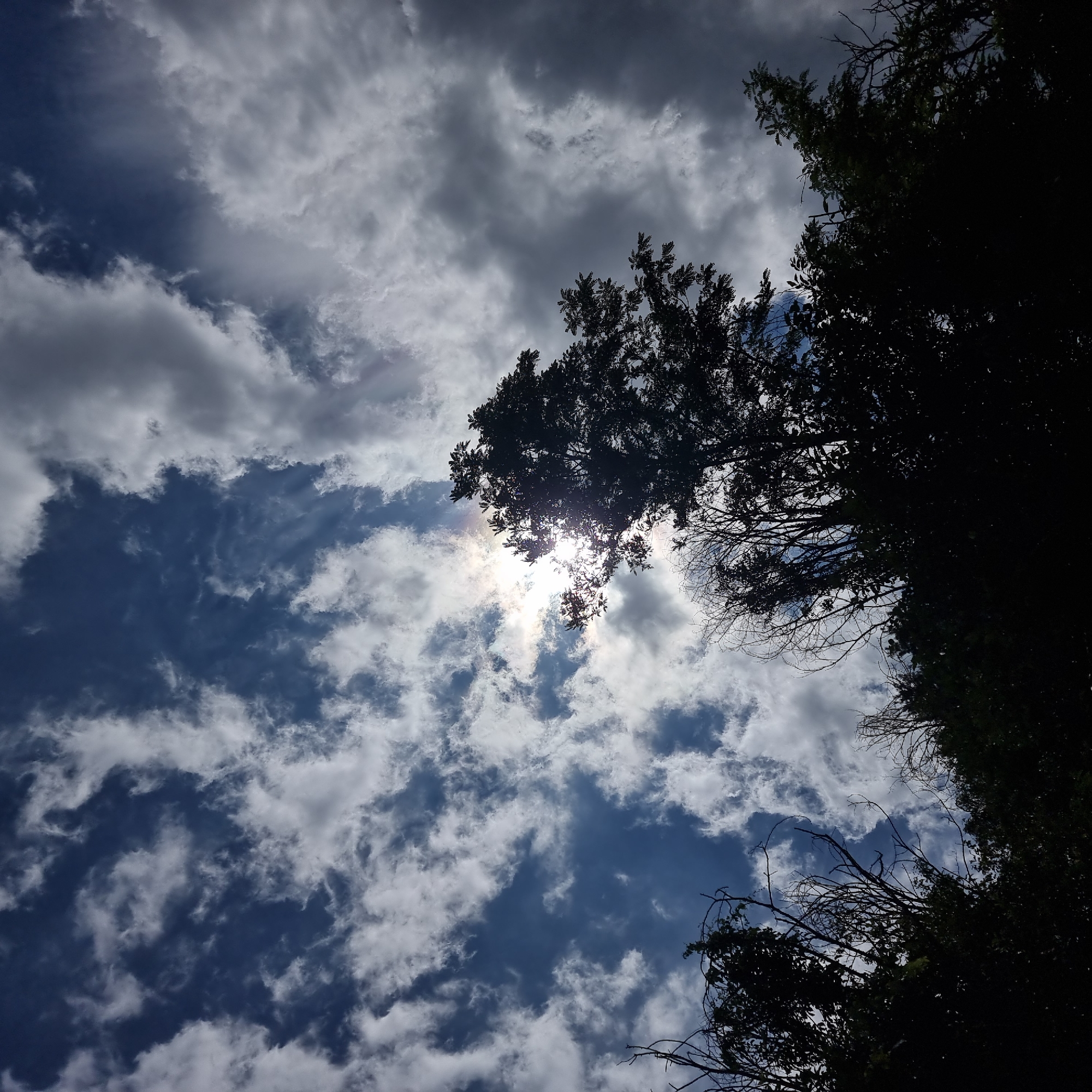 The image depicts a view looking upwards towards a cloudy sky with the sun partially obscured by trees. The scene appears to be in a natural or semi-natural environment, possibly a park or a wooded area. The trees are silhouetted against the bright sky, with their branches and foliage visible. The clouds are varied, with some appearing bright and white, while others are darker and more ominous. The sun's rays are visible, creating a lens flare effect in the center of the image. The location is specified as Dunnae-myeon, South Korea. There are no people or specific actions depicted in the image.
