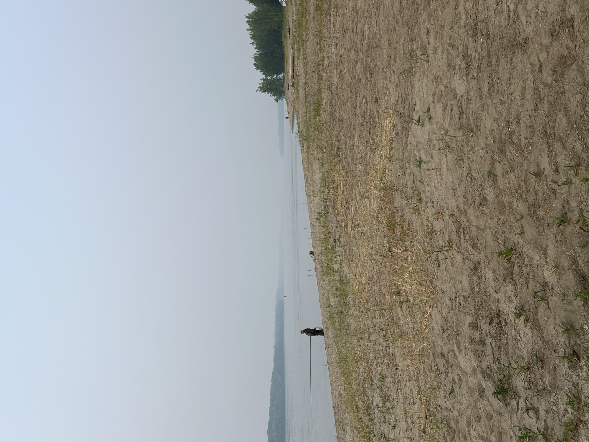 A wide, hazy river stretches across the frame, its surface a muted gray under an overcast sky. The far bank is densely forested with dark green trees, a thin line of foliage disappearing into the misty distance. In the foreground, a sandy beach slopes down to the water. Scattered clumps of dry grass and sparse green shoots dot the sand.
On the left side of the river, a lone figure stands waist-deep in the water, facing away from the camera. They appear to be fishing, with a dark fishing rod extending into the water. Further down the beach, a small, light-colored object, possibly a dog, lies on the sand.
On the right side of the frame, more trees line the bank, and a few scattered objects are visible, including what appears to be a piece of driftwood and a partially visible tent or canopy with a blue and white striped pattern. The overall atmosphere is quiet and serene, with a hint of natural beauty despite the muted light.