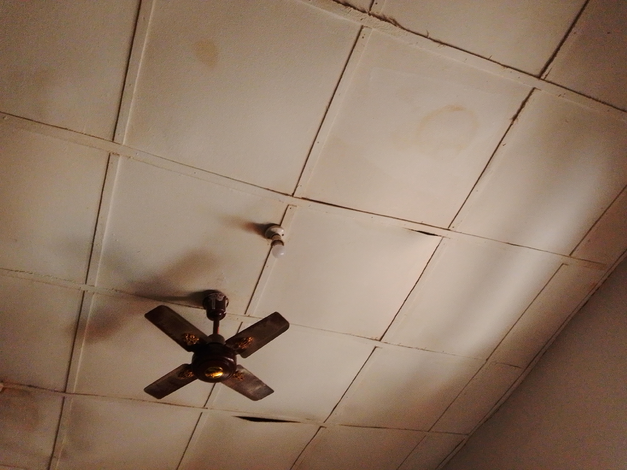 An indoor shot of a ceiling from a low angle shows a white, tiled ceiling with visible seams and some water stains. A dark brown ceiling fan with four blades hangs from the center-left of the frame. Above and to the right of the fan, a bare light bulb is visible. The ceiling shows signs of wear, including some sagging tiles and discoloration, suggesting potential water damage or age. The lighting is dim, creating shadows and highlighting the texture of the ceiling and fan.