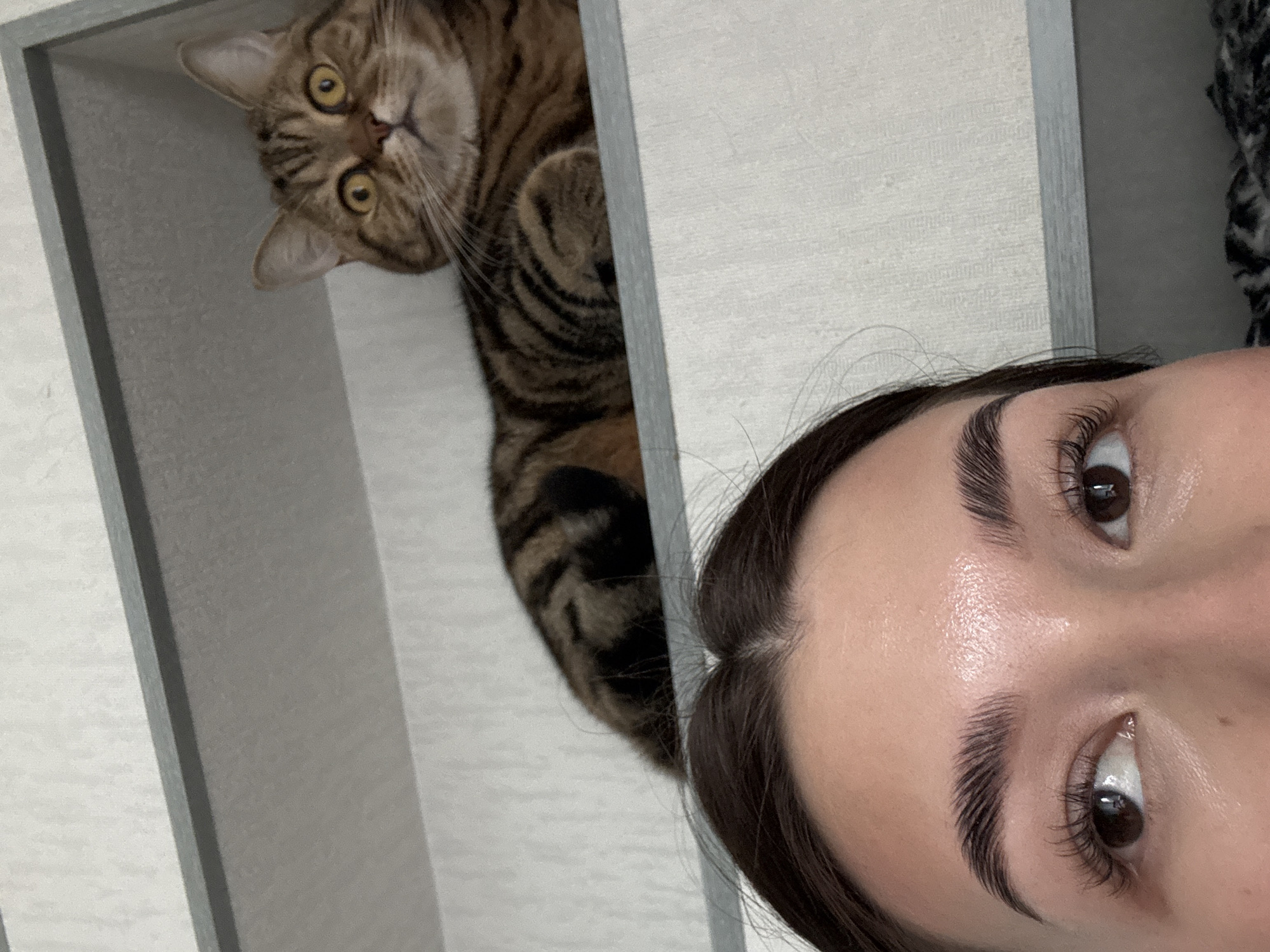 An indoor scene from Chaikovsky, Russia features a close-up, upward-looking perspective on two subjects: a cat and a person. On the left, a tabby cat with distinctive brown and black stripes and striking yellow eyes is seen peeking down from inside a light-colored shelving unit. Its head is tilted, and its gaze is directed towards the camera with an alert and curious expression. The cat's front paws are visible, suggesting it's lying or resting within the shelf.
On the right side of the frame, partially obscured by a vertical panel of the shelving unit, is the upper part of a person's face. Only the forehead, eyebrows, and eyes are clearly visible. The person has dark hair, neatly groomed dark eyebrows, and long, dark eyelashes framing their open, dark brown eyes, which also appear to be looking downwards or into the camera. The skin on the forehead and around the eyes is smooth and appears slightly dewy. The lighting suggests a well-lit indoor environment. The image is composed from a low angle, giving the impression that the viewer is looking up at both the cat and the person as they interact or observe something below them. There is no visible text in the image.