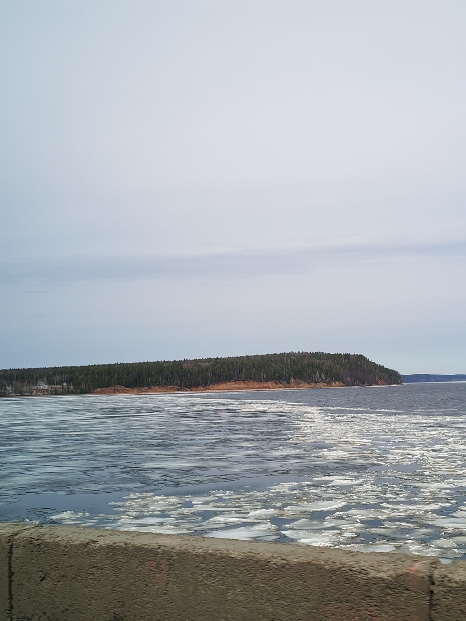 The image depicts a cold, overcast day in Chaikovsky, Russia, with a view overlooking a body of water covered in ice floes. A dense forest lines the shore on the opposite side of the water, the trees appearing predominantly evergreen. There's a distinct line of exposed reddish-brown soil beneath the trees, likely due to erosion. The sky is uniformly grey, contributing to the bleak and cold atmosphere. In the foreground, part of a concrete barrier is visible, suggesting the photo was taken from an elevated position like a bridge or a road. No people or other signs of human activity are directly visible in the main scene beyond the possible buildings on the coast near the forest. The ice appears to be in the process of thawing, with the individual floes separated by open water.