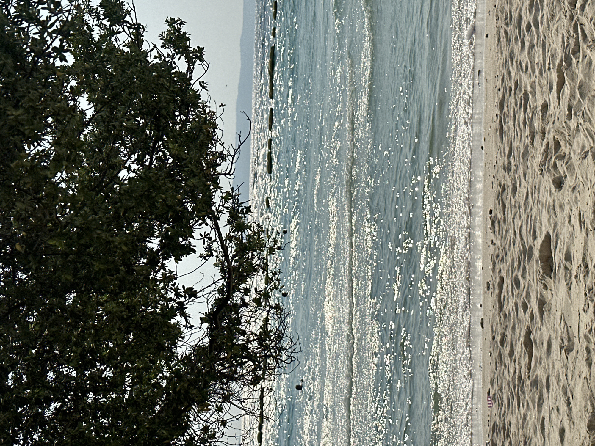A beach scene is depicted on a sunny day in Pattaya City, Thailand. The frame is dominated by the elements of nature: a tree with dense foliage on the left, the shimmering waters of the sea occupying the center, and a sandy beach covering the right portion of the image. The sunlight reflects off the surface of the water, creating a sparkling effect. The sand appears dry and textured, possibly due to the wind or recent tides. In the distance, a faint horizon line is visible, indicating the sea meeting the sky. There are a few dark, round objects near the beach in the water.