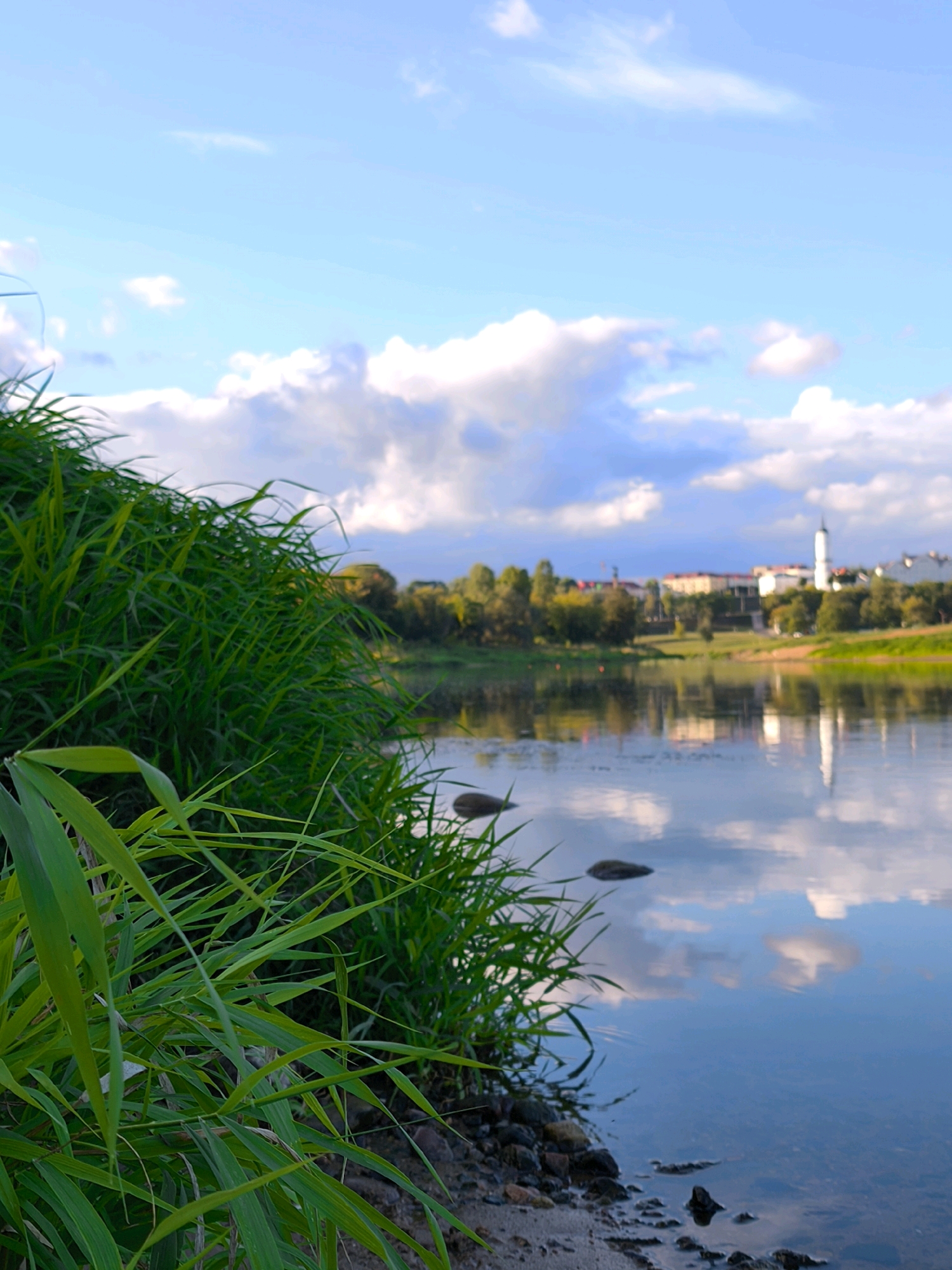 The image depicts a waterfront scene, likely in the city of Mahilyow, Belarus, given the presence of a prominent white church spire visible in the distance. In the foreground, lush green grass grows along the bank of a calm body of water. The water itself reflects the sky and the distant cityscape. The sky is a bright blue, dotted with fluffy white and grey clouds. Across the water, a town or city is visible, characterized by buildings with various architectural styles and a cluster of trees. The overall impression is one of a tranquil, scenic landscape.