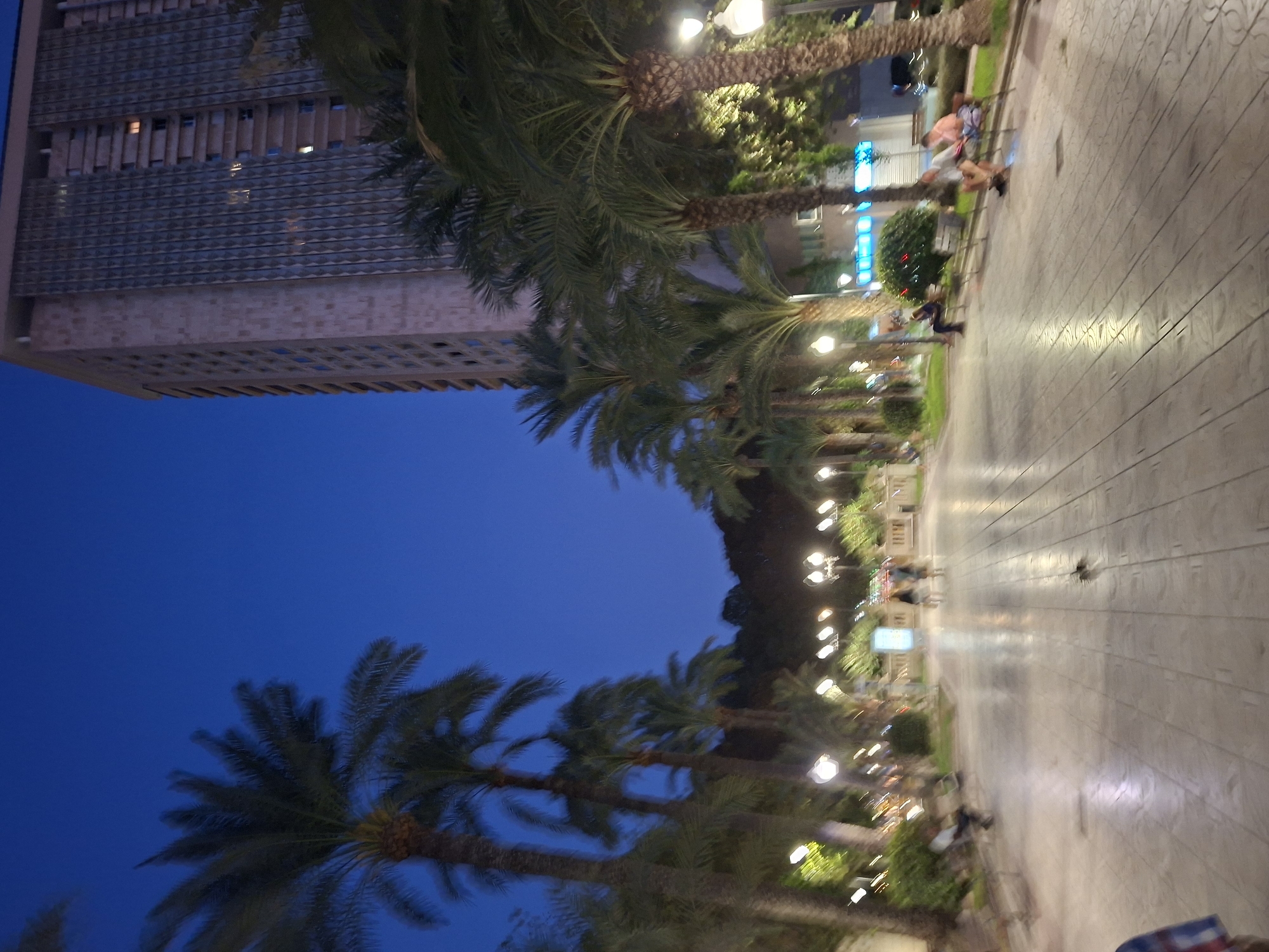 The image depicts a nighttime scene in Alicante, Spain, specifically along the Explanada de España. A tall, modern building, likely a hotel or residential tower, dominates the background on the right side of the frame. Its facade is characterized by a grid-like pattern of windows and decorative elements, with some lights visible in the upper floors.
In the foreground and midground, a wide pedestrian walkway paved with interlocking tiles stretches into the distance. The walkway is lined with numerous palm trees, their fronds casting shadows and creating a tropical ambiance. The trees are illuminated by ornate streetlights, some of which are visible in clusters, casting a warm glow on the path.
Several people are present in the scene. On the right side of the walkway, three individuals are seated on benches. One person, wearing a light-colored shirt and shorts, is looking towards the left. Another person, wearing a pink top, is seated next to them, also facing left. Further to the right, a person is seated on a bench, appearing to be looking down. On the left side of the walkway, another individual is seated on a bench, partially obscured by foliage. In the distance, two figures are walking along the path, appearing as blurred silhouettes.
The sky is a deep, clear blue, indicating dusk or early night. The overall atmosphere is one of a bustling urban promenade at night, with a mix of architectural elements, natural vegetation, and human activity. The lighting suggests a pleasant evening, with the city beginning to wind down.