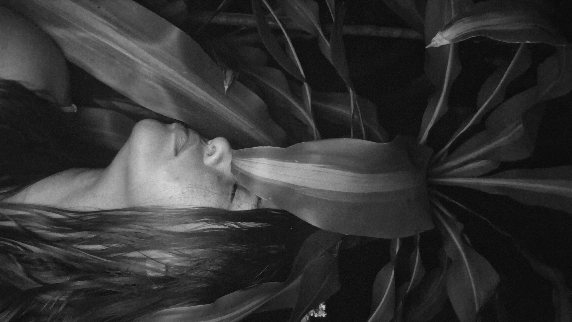 The black and white image shows a close-up of a young person's face, partially obscured by large, dark leaves. The person is looking upwards with their eyes closed, their profile visible from the nose to the neck. They have long, dark, wet hair falling around their face and shoulders. The leaves are prominent, with visible veins, and appear to be from a tropical plant. The lighting is low, creating deep shadows and highlighting the contours of the face and the texture of the leaves. The overall impression is one of intimacy and a connection with nature. The image is taken outdoors, likely in a lush, vegetated area, but the specific location in Vallecito, Venezuela, cannot be determined from the visual information alone.