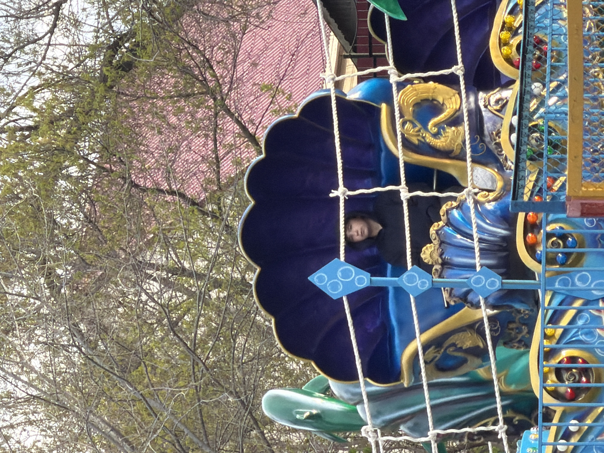 A woman is riding an amusement park ride in Kamyshin, Russia. The ride is painted with bright blue and gold colors. The woman is sitting inside a blue, flower-shaped seat. A white net is visible in front of the ride. Bare trees are visible in the background. A red roof is seen behind the trees.