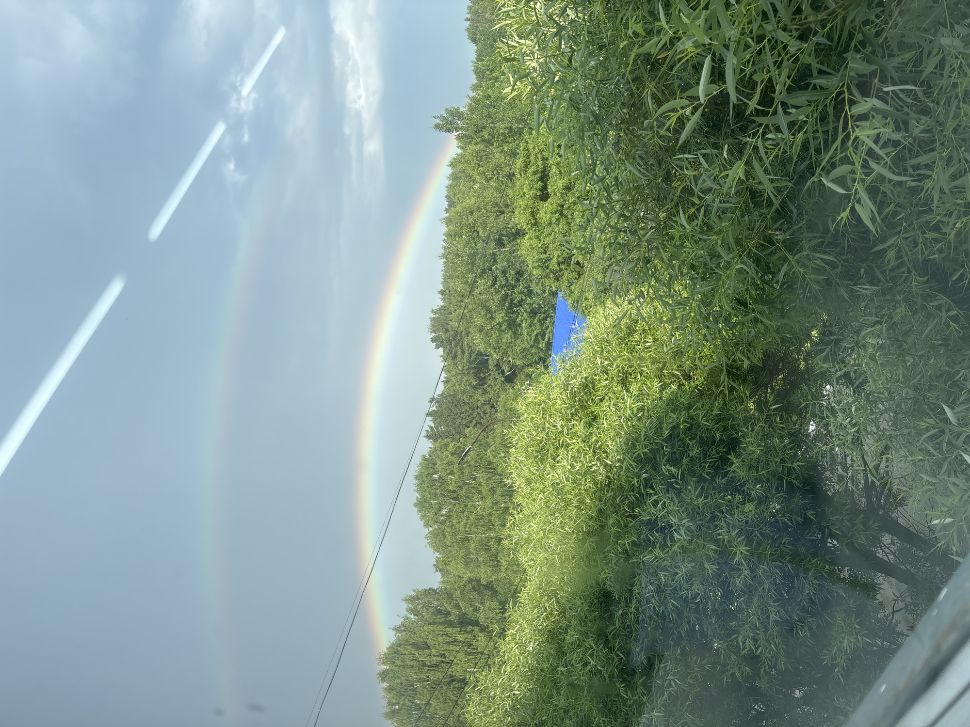 The image shows a double rainbow arching over a lush green forest. The foreground is filled with dense foliage, obscuring the ground and lower portions of trees. In the middle ground, a blue-roofed structure is partially visible amidst the trees. Power lines crisscross the sky, with a light pole visible on the right. The sky is overcast with some patches of blue, suggesting recent rain. The image appears to be taken from a window, as evidenced by streaks of light and reflections on the glass. The location is the city of Chaikovsky, Russia.