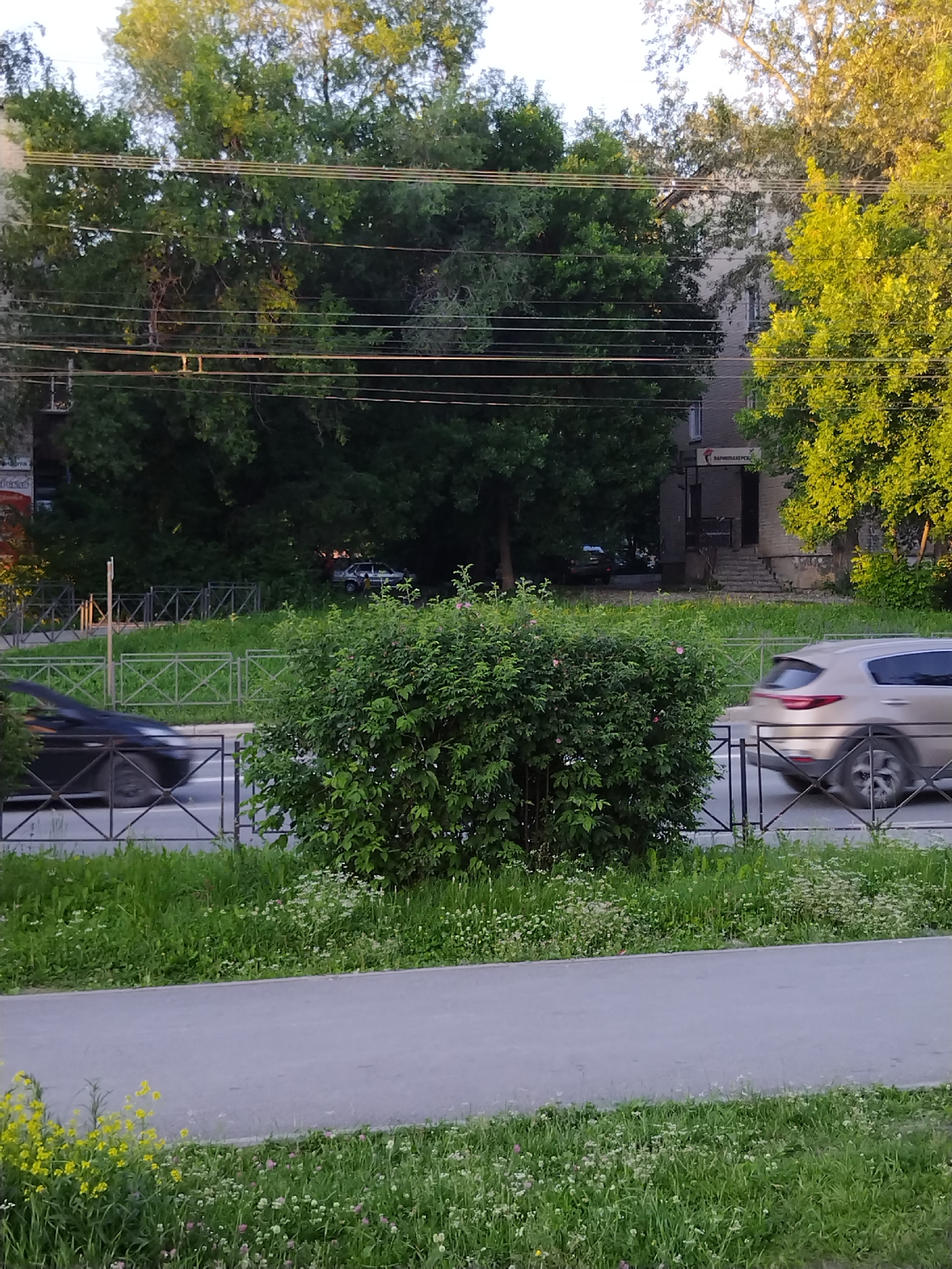 The image captures a street scene on an overcast day, possibly in the late afternoon, given the soft lighting. In the foreground, a paved path runs parallel to a road, bordered by a strip of grass and wild flowers. A black car is captured in motion on the road, blurred by its speed, suggesting it's moving to the left. A light-colored SUV is also moving to the right on the same road. A metal fence runs along the edge of the road, separating it from the grassy area. Behind the fence, a dense green hedge is prominent. Further in the background, mature trees with lush green foliage create a canopy over the scene. A two-story building, with visible windows and an entrance, is partially obscured by the trees. A sign with text, possibly indicating a business, is visible near the building's entrance. Several power lines crisscross the upper portion of the image. The overall environment appears to be urban or suburban, with a mix of natural elements and infrastructure.