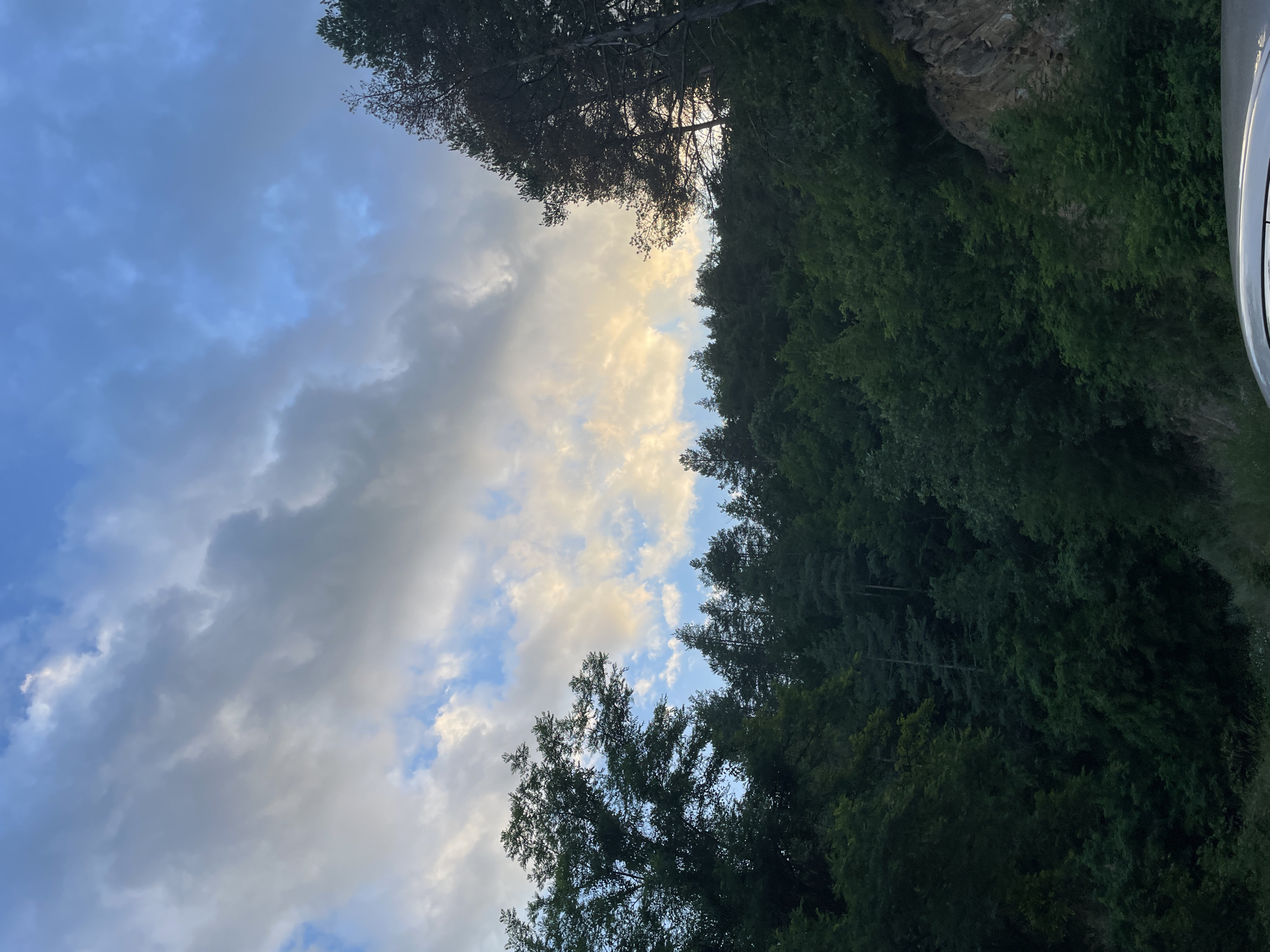 This image captures a landscape scene from Alamovtsi, Bulgaria, under a cloudy sky with patches of blue and yellowish light filtering through. A dense forest of green trees covers the rolling hills, with some taller pines visible on the right. A rocky outcrop is partially visible on the hillside to the right of the frame. In the foreground, the top edge of a silver car is visible, suggesting the image was taken from within or near a vehicle. There are no people or animals present in the image.