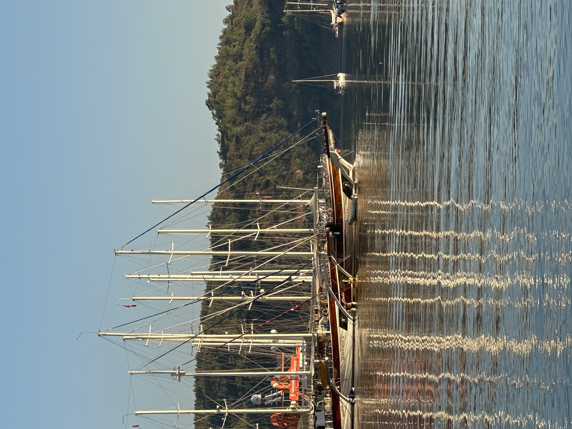 This is a photograph of a harbor in Fethiye, Turkey, likely taken in the morning or late afternoon, judging by the quality of light. The foreground is dominated by the calm, reflective surface of the water, showing distorted reflections of the boats and masts above.
In the middle ground, several large, traditional wooden sailboats, known as gulets, are moored side-by-side. These boats have multiple masts, rigging, and decks. Some of these gulets appear to be painted in dark red or brown with white trim. One boat clearly visible has the name "SEAHORSE A" on its side. Another boat has the name "VELI" visible. There are also smaller sailing boats in the background.
The background features a densely wooded hillside that slopes down towards the water. The sky is a clear, pale blue, indicative of good weather. The overall impression is one of a peaceful and picturesque maritime scene.