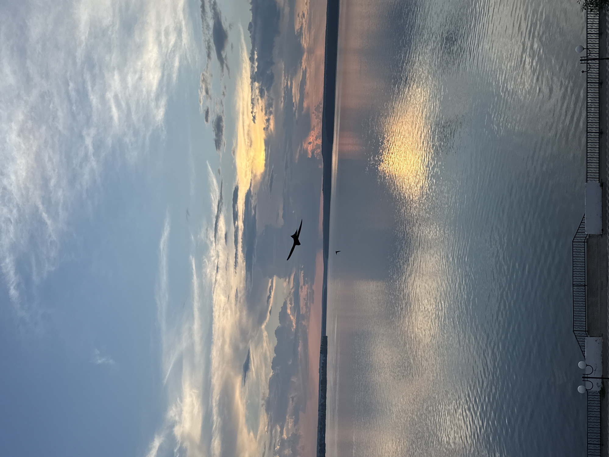 This is a vertical, eye-level, full shot of a body of water at sunset. The sky is filled with a mixture of blue and grey clouds, with patches of orange and yellow near the horizon. A large bird with outstretched wings is silhouetted against the sky in the upper left quadrant of the image. A smaller bird is visible in the middle of the frame, and a body of land stretches across the horizon in the distance. The water is calm and reflects the colors of the sky, with ripples disturbing the surface in the foreground. A stone embankment with a railing and a lamppost is visible at the bottom of the image. The scene depicts a peaceful natural landscape during twilight. The location is the Votkinsk Reservoir, part of the Kama River, near Votkinsk, Russia.