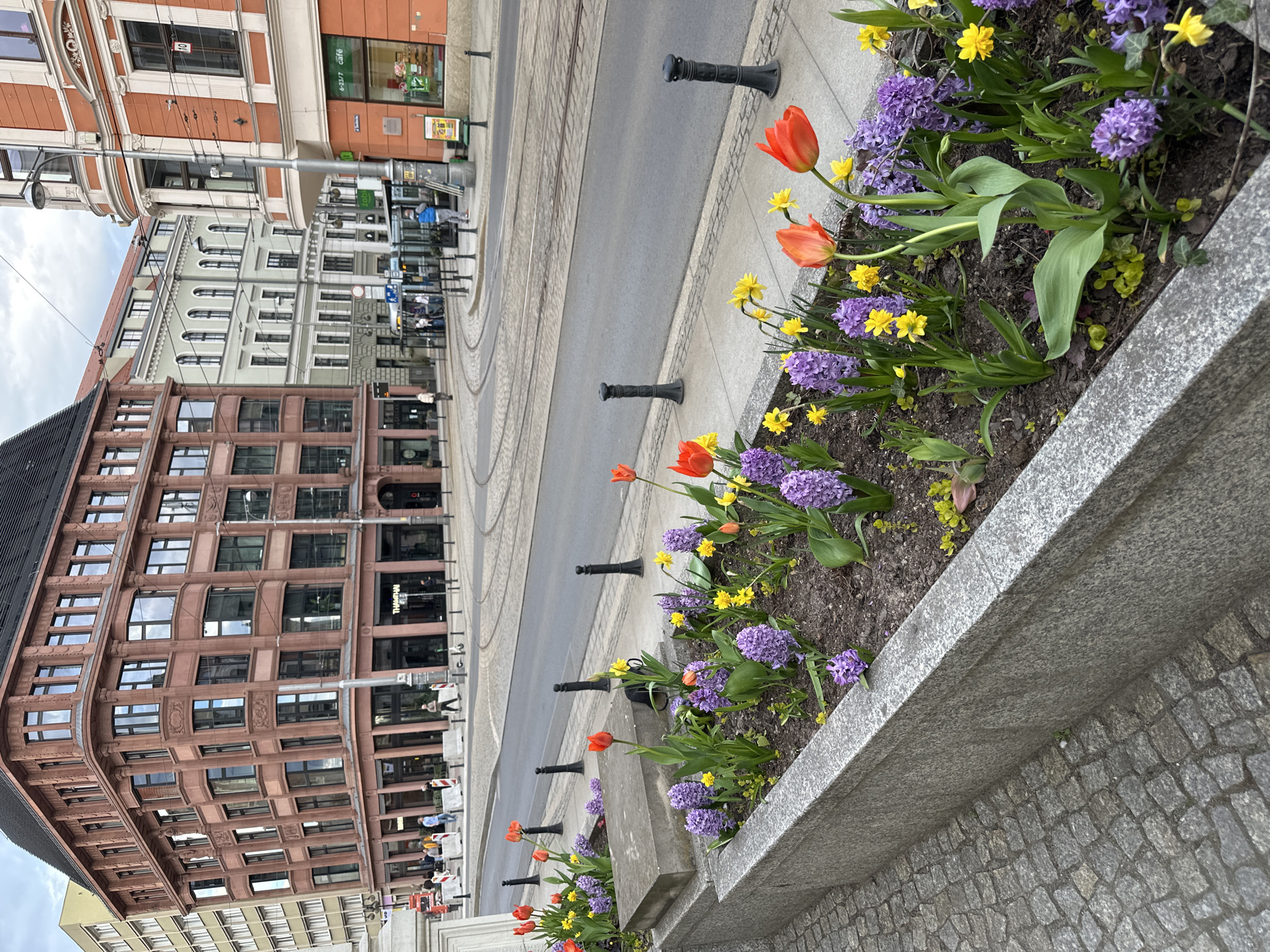 The image depicts a street scene in Wrocław, Poland, characterized by a flowerbed in the foreground featuring tulips, daffodils, and hyacinths, bordering a street with tram tracks. Pedestrian bollards are visible along the street edge. The background showcases a mix of architectural styles, including a prominent reddish-brown building with multiple windows and ornate detailing, and adjacent structures with lighter facades. The scene suggests an urban environment during daylight hours with overcast skies. People can be seen walking in the background, and commercial establishments, including a café, are also visible.