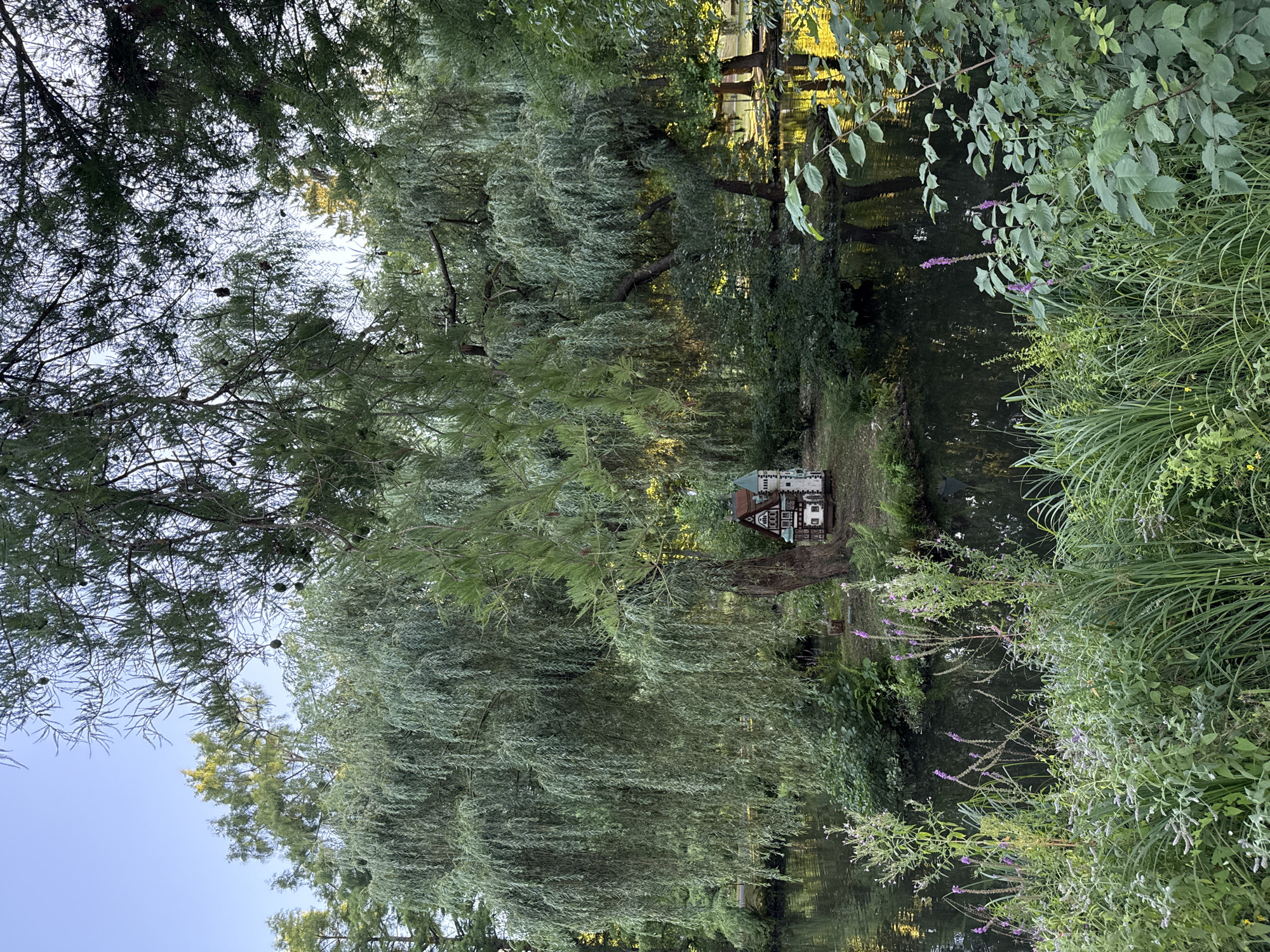 A miniature, fairy-tale style house sits nestled among lush greenery on a small island in a dark body of water, likely a pond or lake. The house has a brown, gabled roof with white trim and a dark facade, and features a prominent bay window. It is surrounded by a variety of trees, most notably a large weeping willow with cascading branches that dominate the left side of the frame. The water reflects the surrounding trees and a bright, yellow glow, suggesting late afternoon or early morning sunlight. The foreground is filled with dense, green vegetation, including tall grasses and smaller plants with purple flowers. The overall impression is one of a serene, almost whimsical, natural setting. This scene is located in the Kurpark of Bad Orb, Germany.