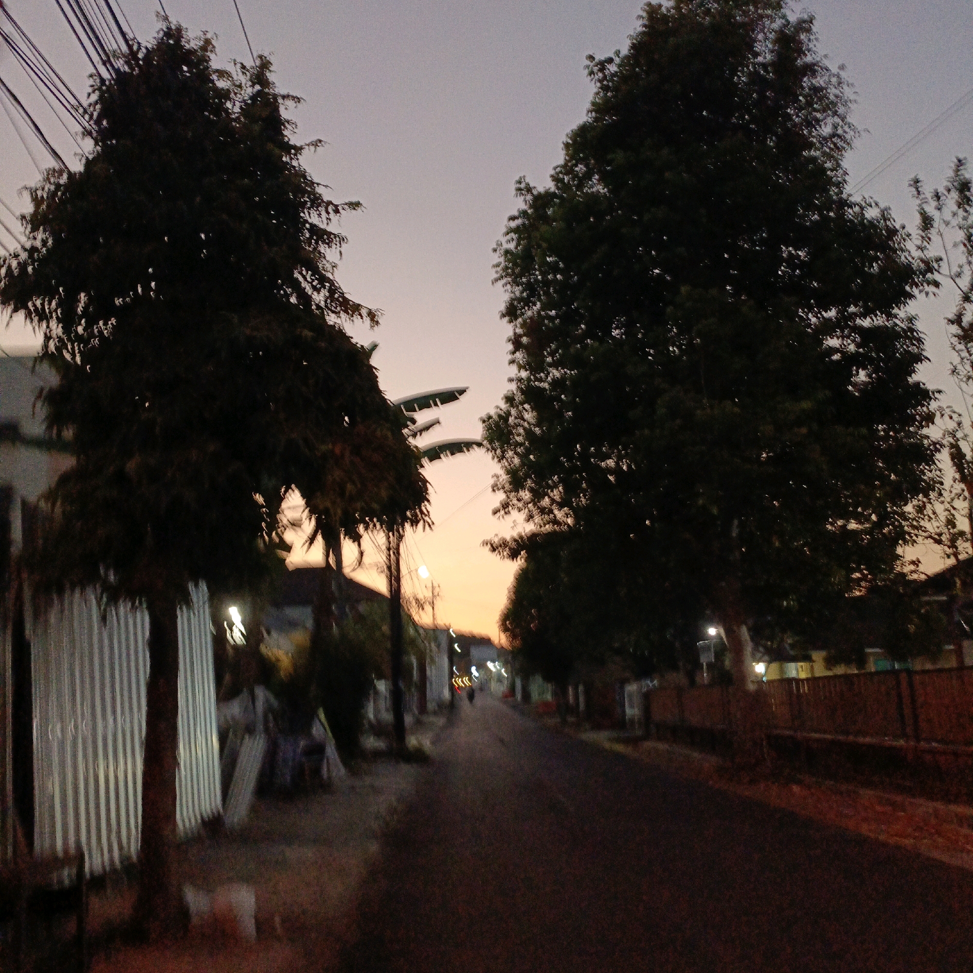 The image captures a street scene in Salatiga, Indonesia, during dusk or dawn. Two large trees dominate the foreground, with their dark silhouettes contrasting against the pale twilight sky. The tree on the left is closer to the viewer, its branches extending towards the top of the frame where electrical wires are visible. To the right, another tree of similar size and dark foliage occupies a significant portion of the mid-ground.
A paved road stretches into the distance, appearing to be lined with vegetation and structures on either side. The road is empty except for a distant, blurred object that appears to be a motorcycle or a small vehicle, its taillights creating streaks of red light. The overall lighting suggests low-light conditions, possibly with some artificial lights emanating from buildings or streetlights, creating blurred light sources.
On the left side of the road, a corrugated metal fence or wall is visible, running alongside the sidewalk. Some scattered debris or objects are present near this fence. On the right side, a wooden fence or barrier can be seen, bordering the road. The sky is a gradient of soft grey and pale orange, indicating the sun is either rising or setting. The environment appears to be a residential or semi-urban area within Salatiga.