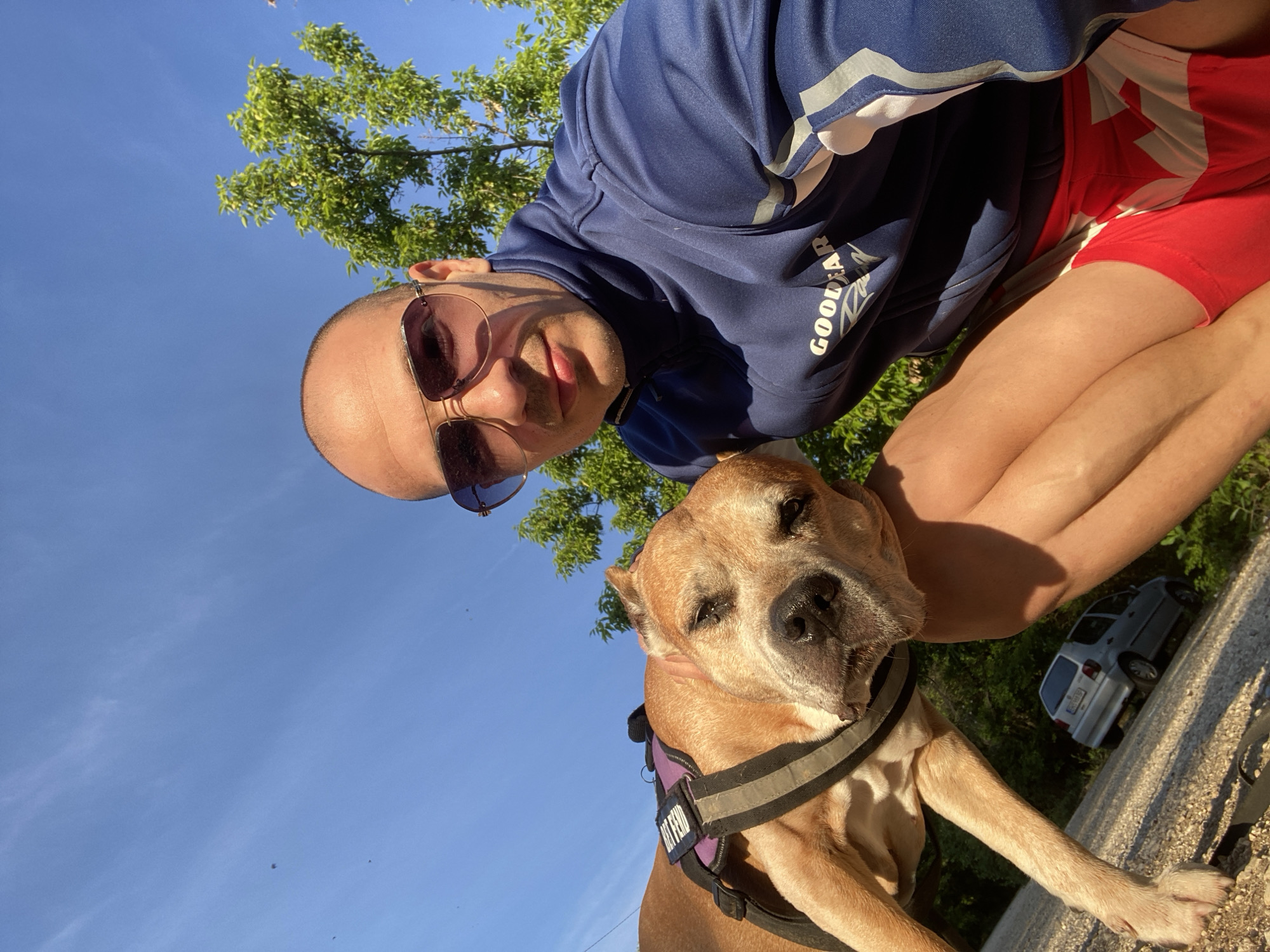 A man with a shaved head and sunglasses is taking a selfie with a tan-colored dog wearing a purple harness with reflective stripes. The man is wearing a blue shirt with "GOOD YEAR" printed on it and red shorts with a Canadian flag pattern. The scene appears to be outdoors, with a blue sky, green trees, and a car parked in the background. The location is unknown.