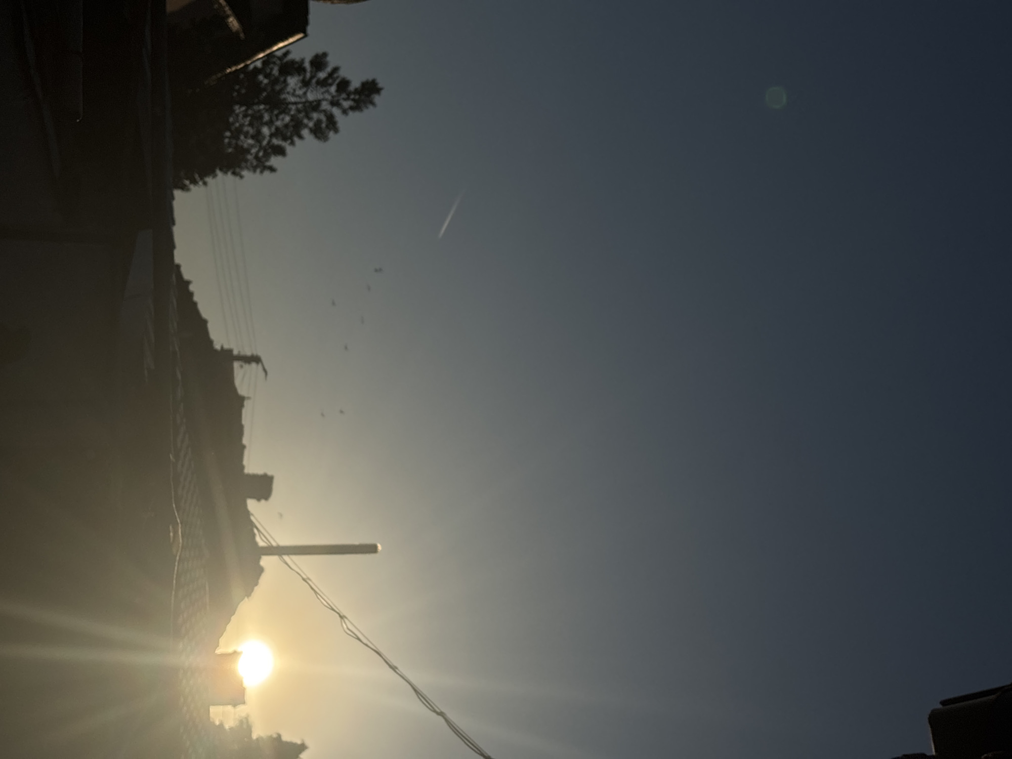 The image shows a daytime scene in Lom, Bulgaria. A building's silhouette is partially visible in the bottom left, with the sun shining behind it, creating lens flare. Overhead power lines are visible. In the clear sky, there is a contrail from a plane and a flock of small birds.